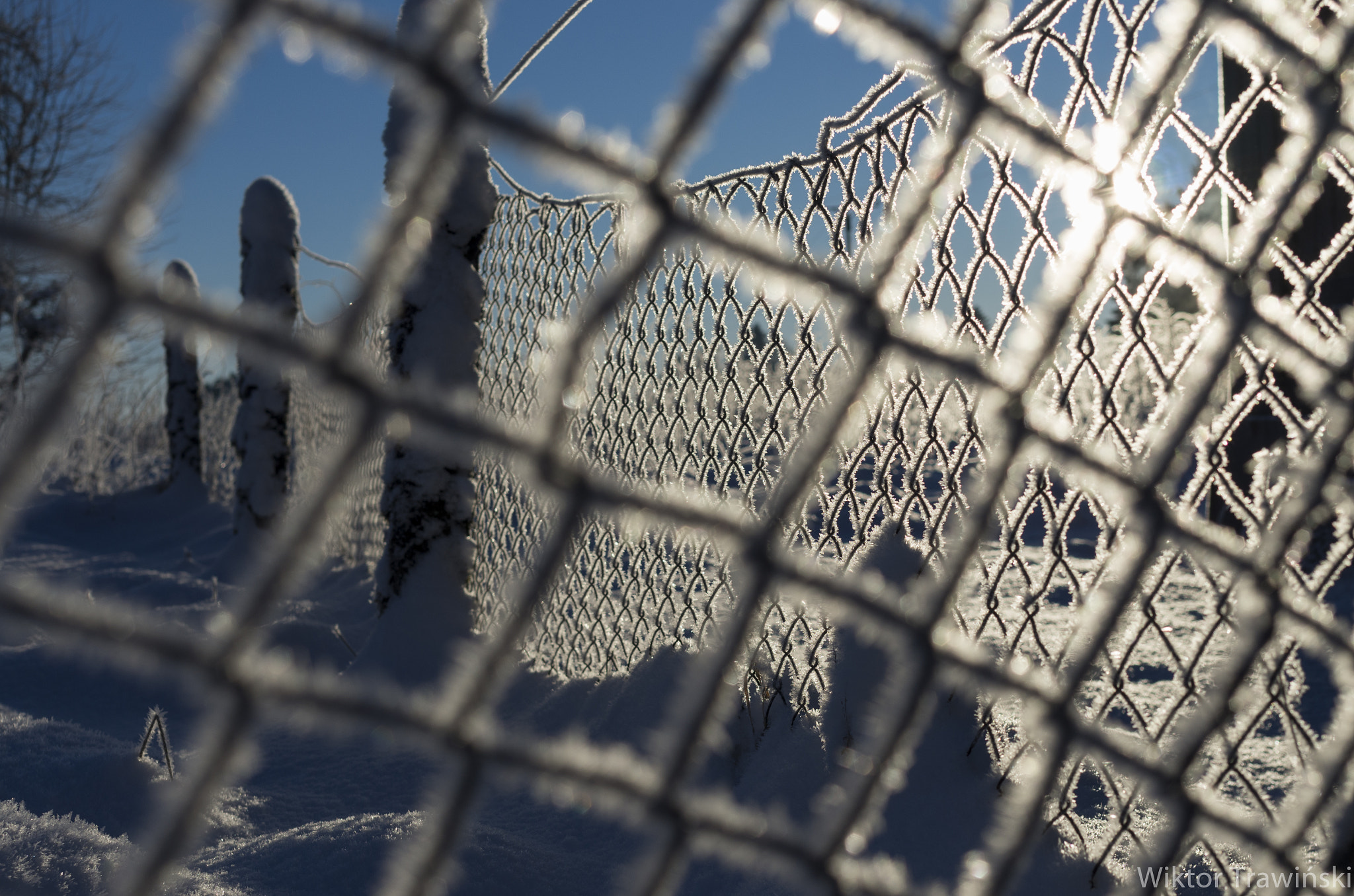 Pentax K-5 IIs sample photo. Morning frost photography