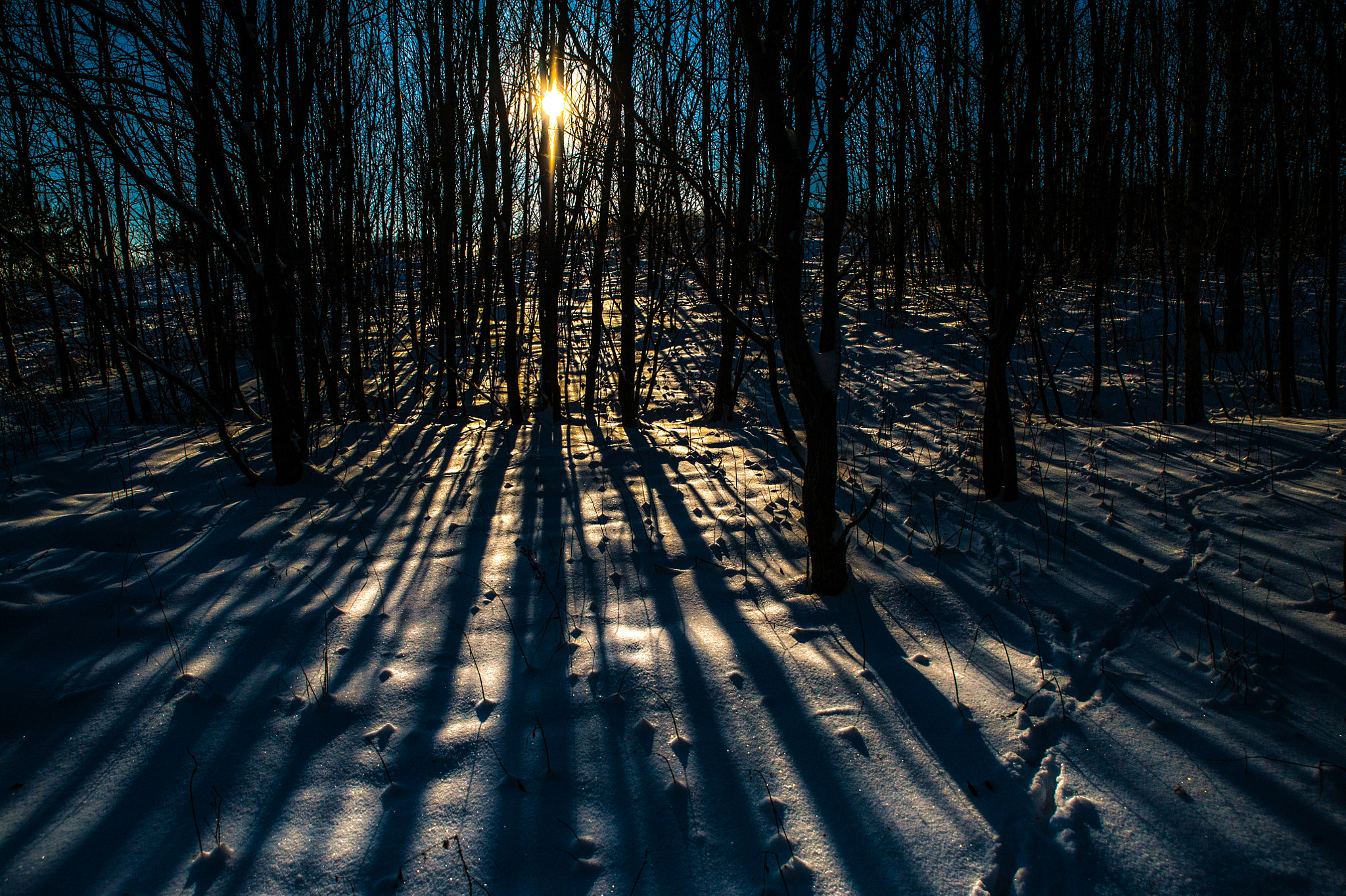 Nikon D3 sample photo. Winter in lithuania photography