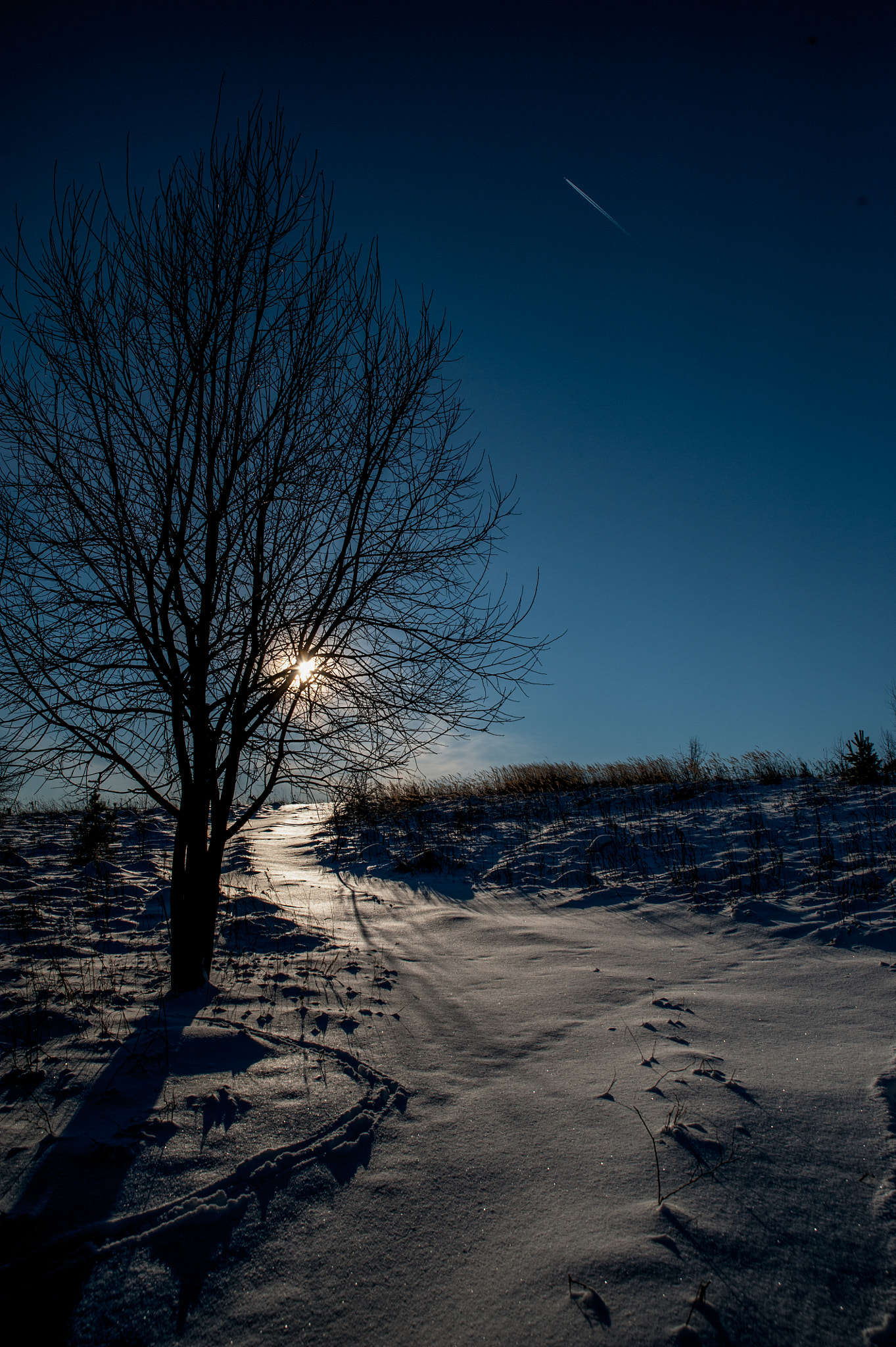 Nikon D3 sample photo. Winter in lithuania photography