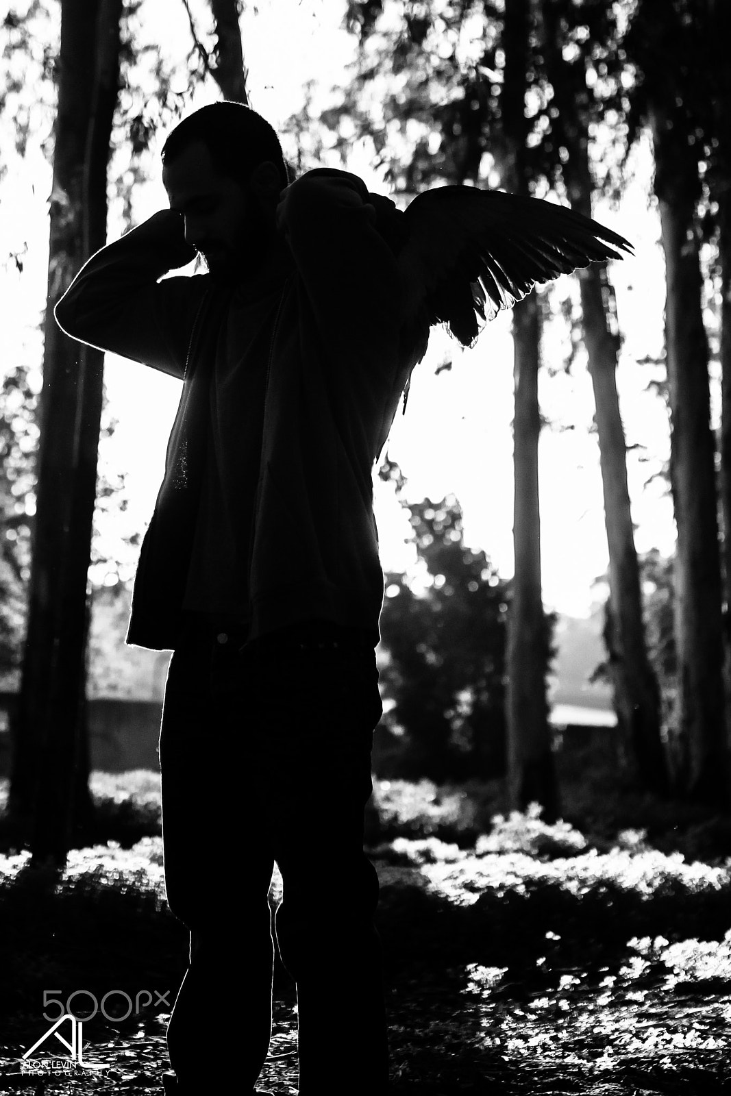 Sigma 35mm F1.4 DG HSM Art sample photo. Unfurl your black wings photography