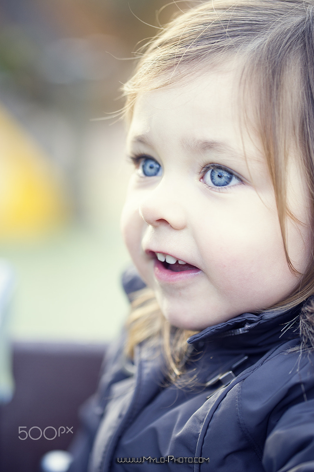 90mm F2.8 Macro SSM sample photo. O.6 photography