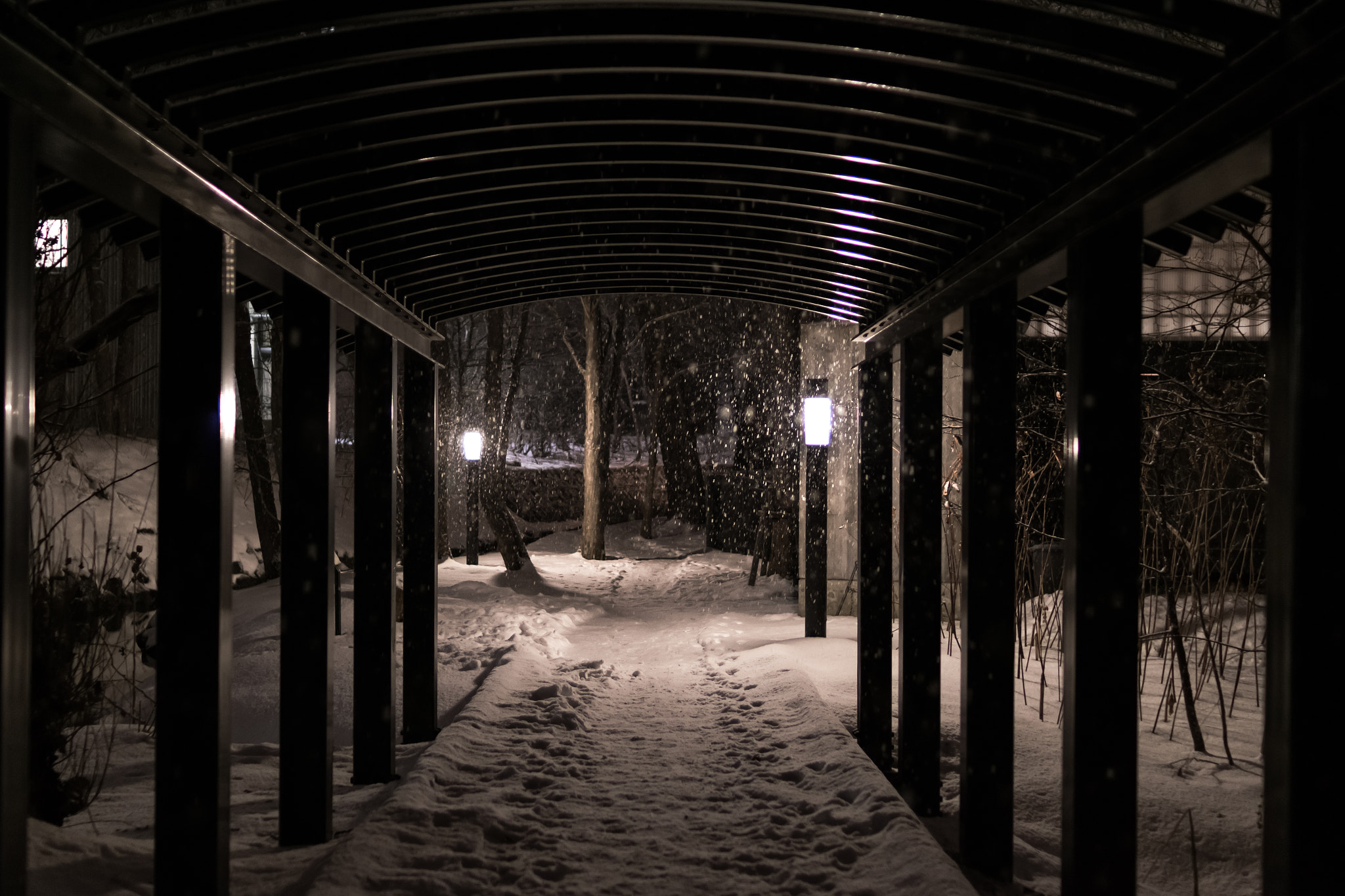 Nikon D5300 + AF-S DX Zoom-Nikkor 18-55mm f/3.5-5.6G ED sample photo. Snow fall at night photography