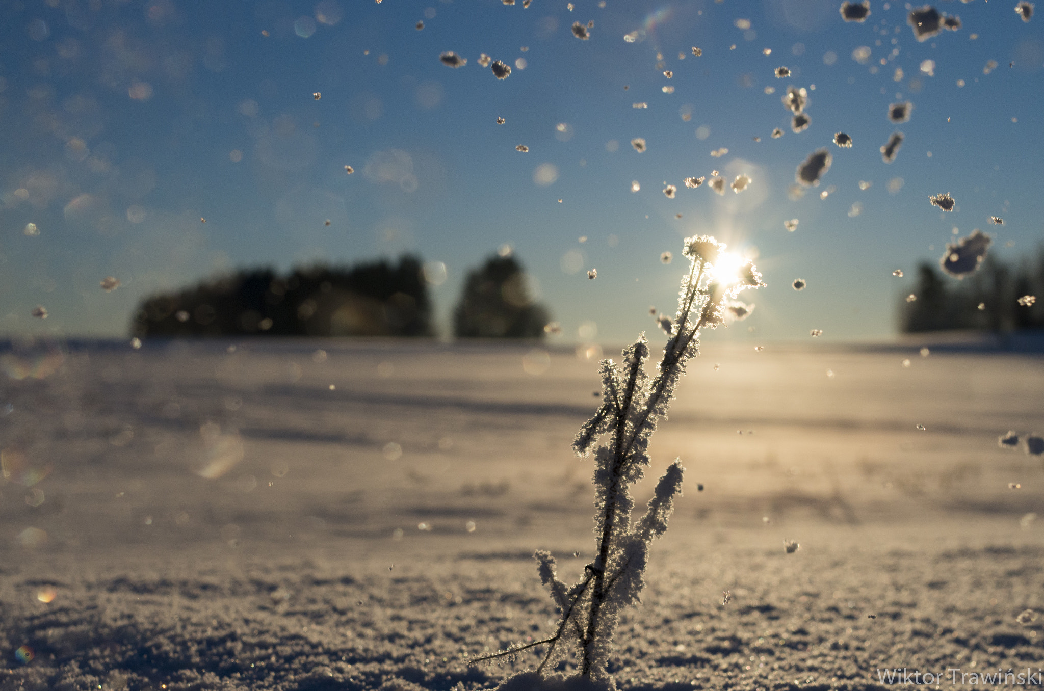 Pentax K-5 IIs sample photo. Snowy morning photography