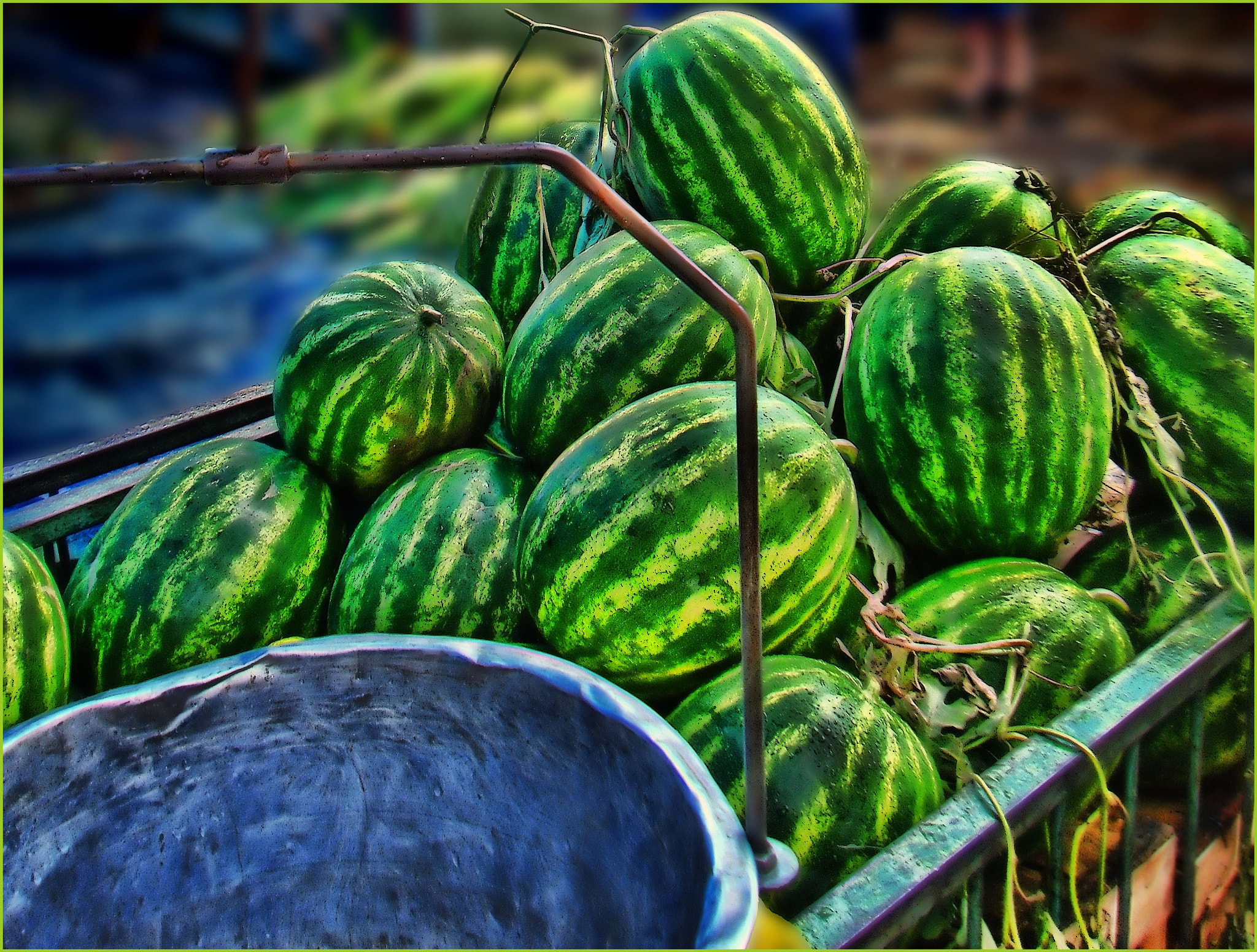 Fujifilm FinePix Z200FD sample photo. Watermelons photography