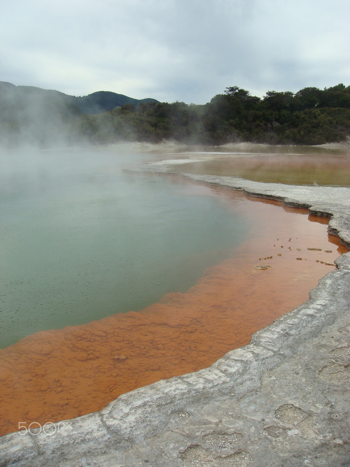 Sony DSC-T100 sample photo. New zealand photography