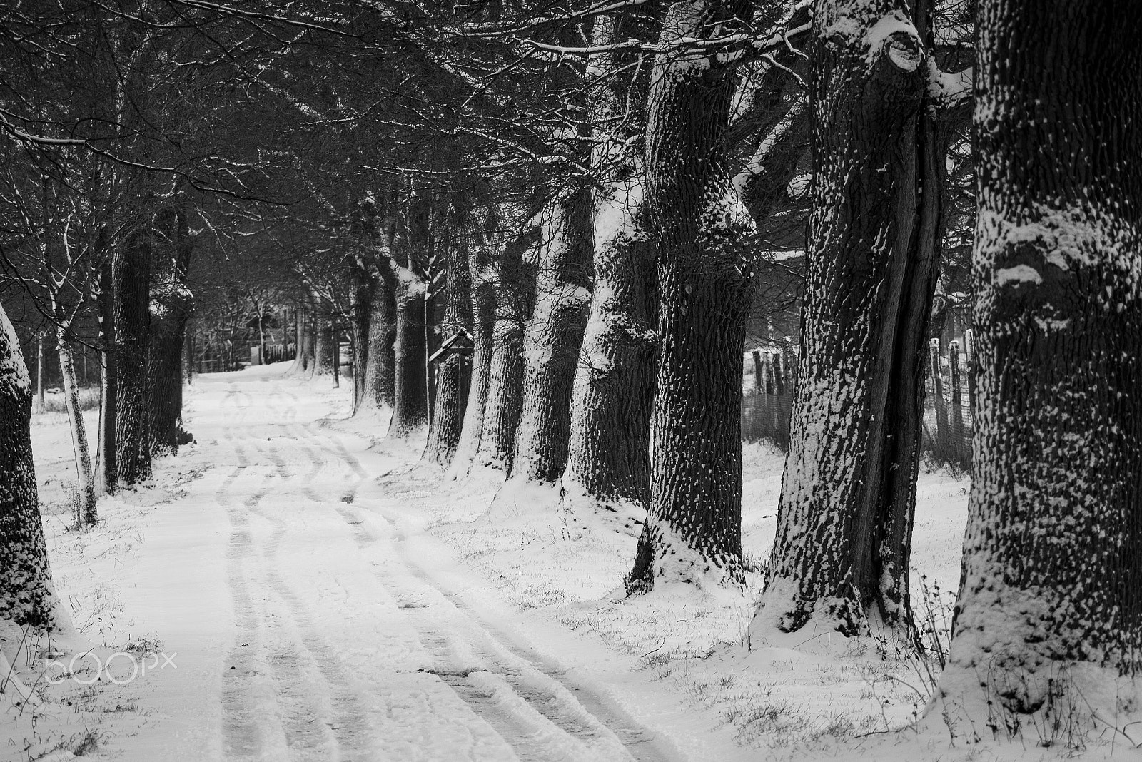 Panasonic Lumix DMC-GX7 sample photo. Winterroad photography