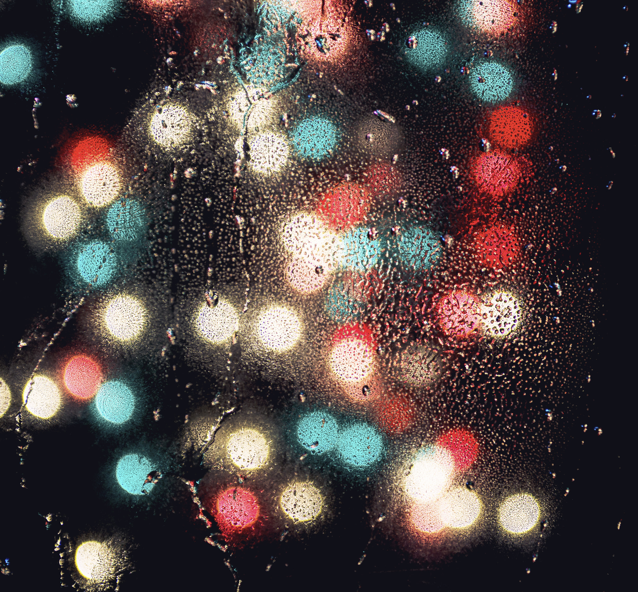AF Zoom-Nikkor 28-85mm f/3.5-4.5 sample photo. Bokeh experiment photography