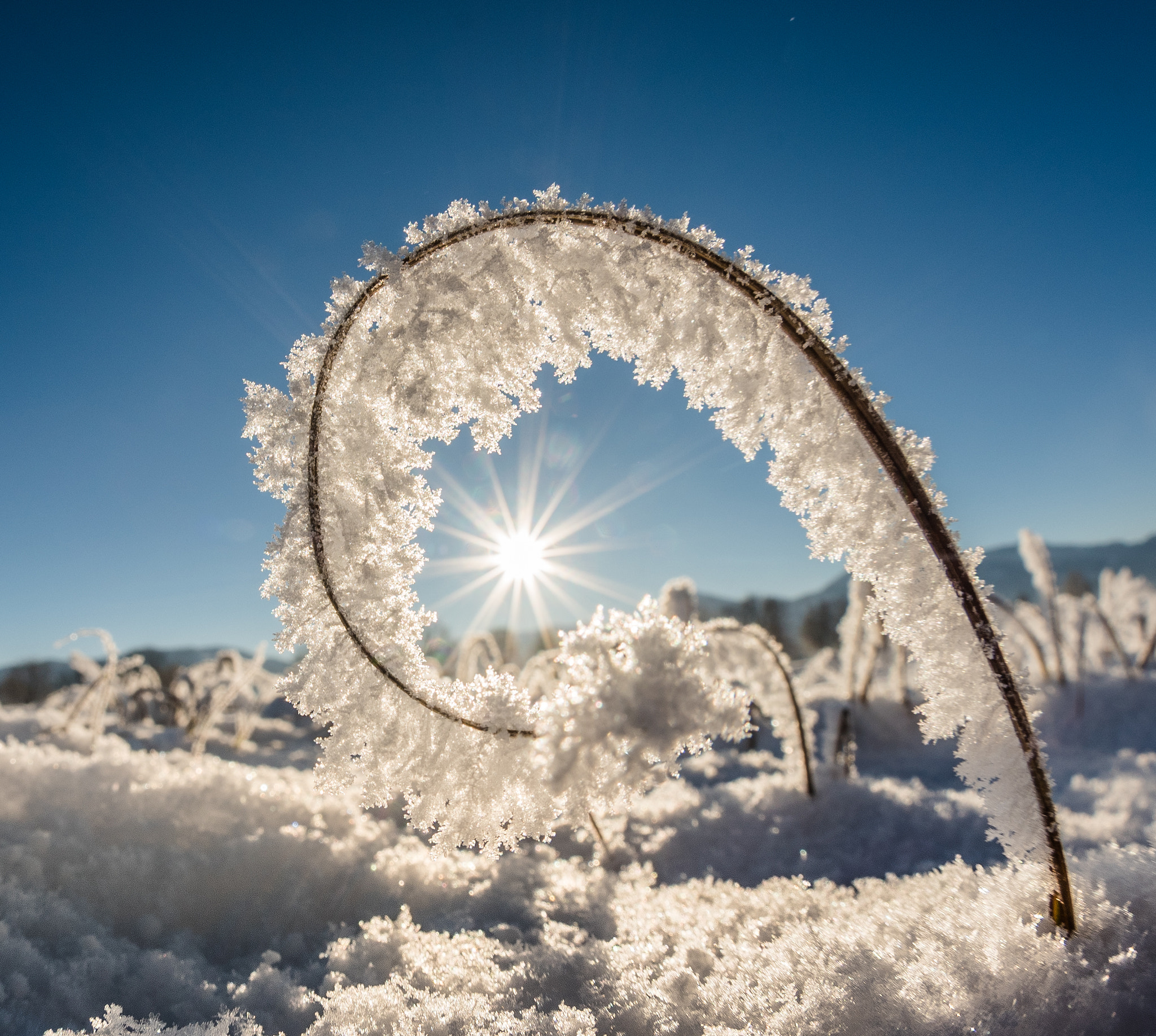 Nikon D750 + Sigma 10mm F2.8 EX DC HSM Diagonal Fisheye sample photo. Frozen photography