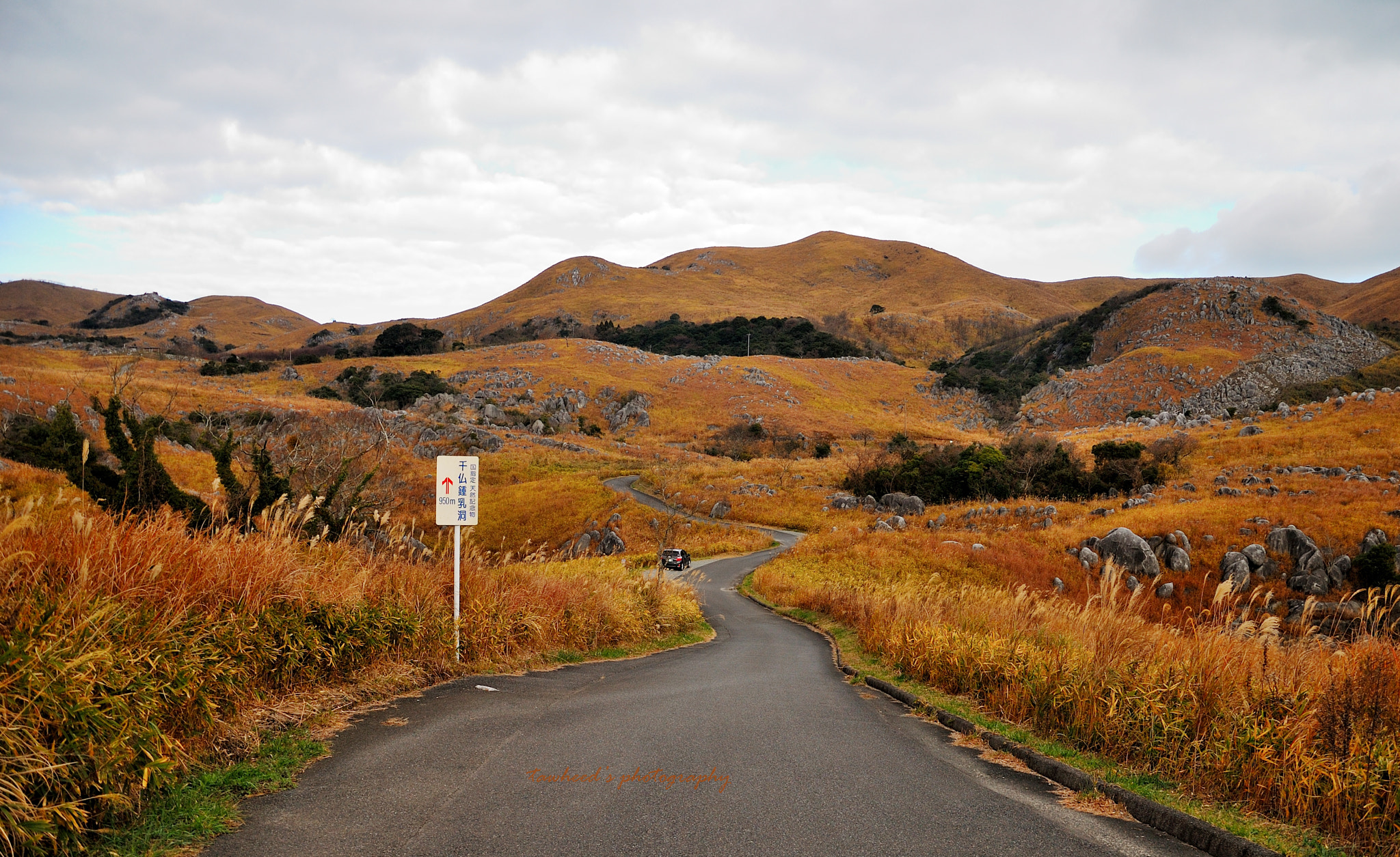 Nikon D40X sample photo. Country road photography