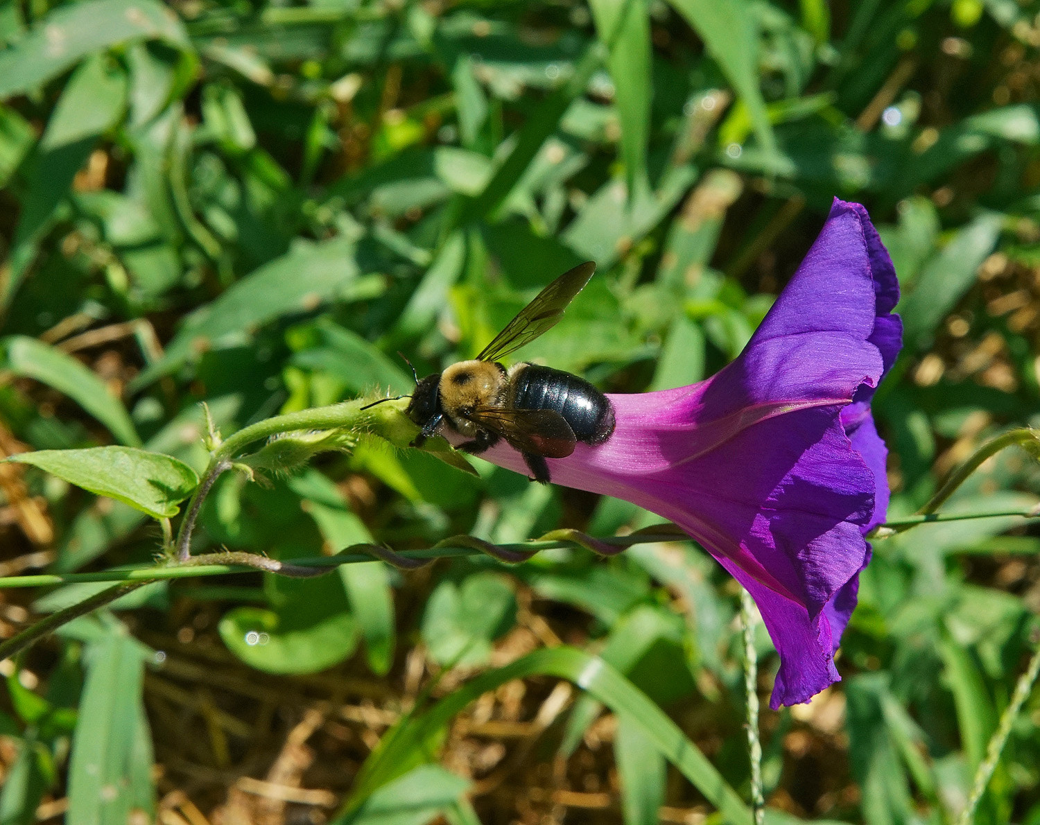 24-105mm F4 G SSM OSS sample photo. Backdoor approach photography