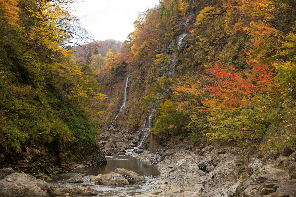 Sony a7 + Canon EF 85mm F1.2L II USM sample photo. 紅葉渓谷. photography