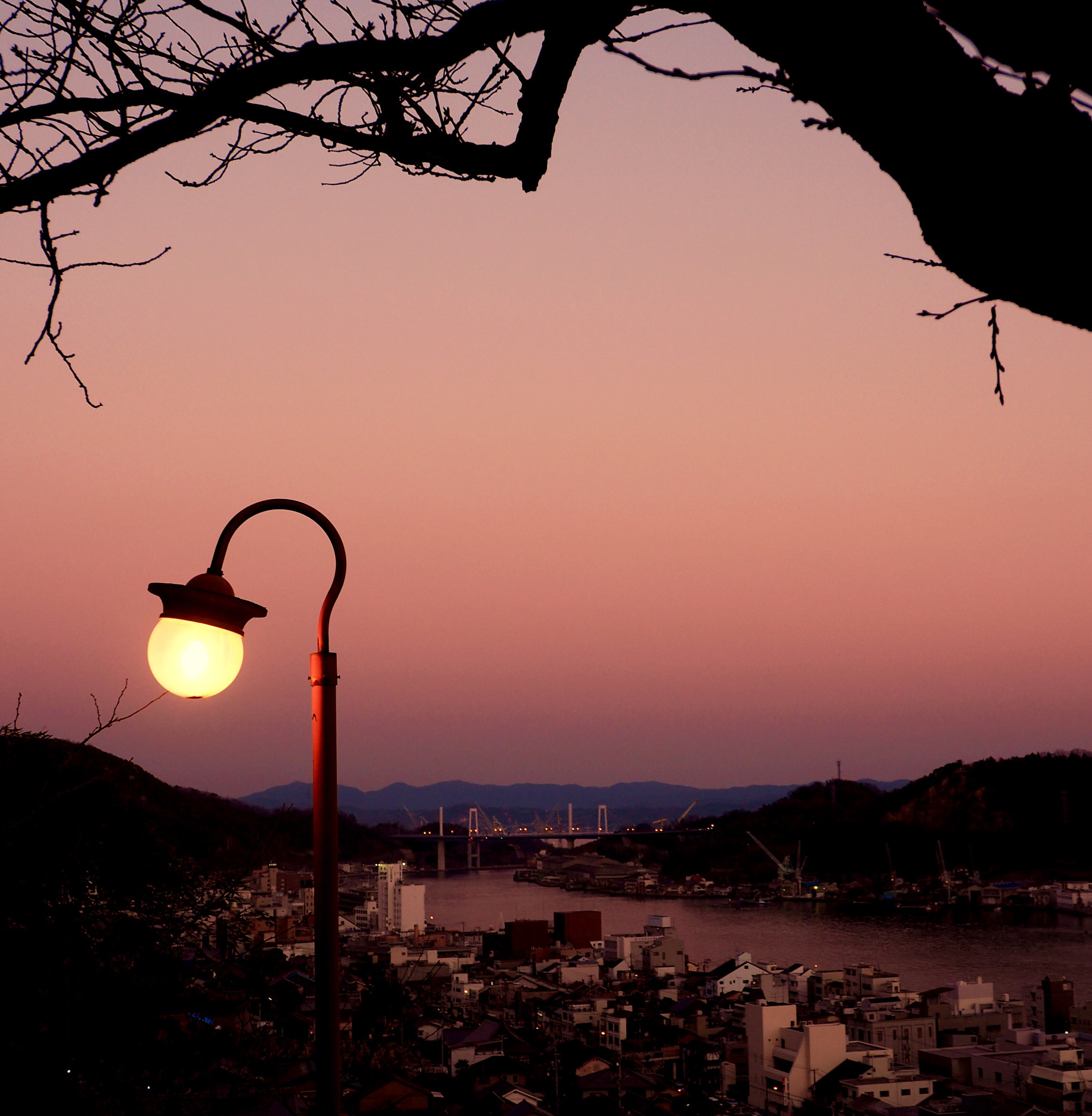 OLYMPUS M.12-50mm F3.5-6.3 sample photo. 夕暮れ twilight photography