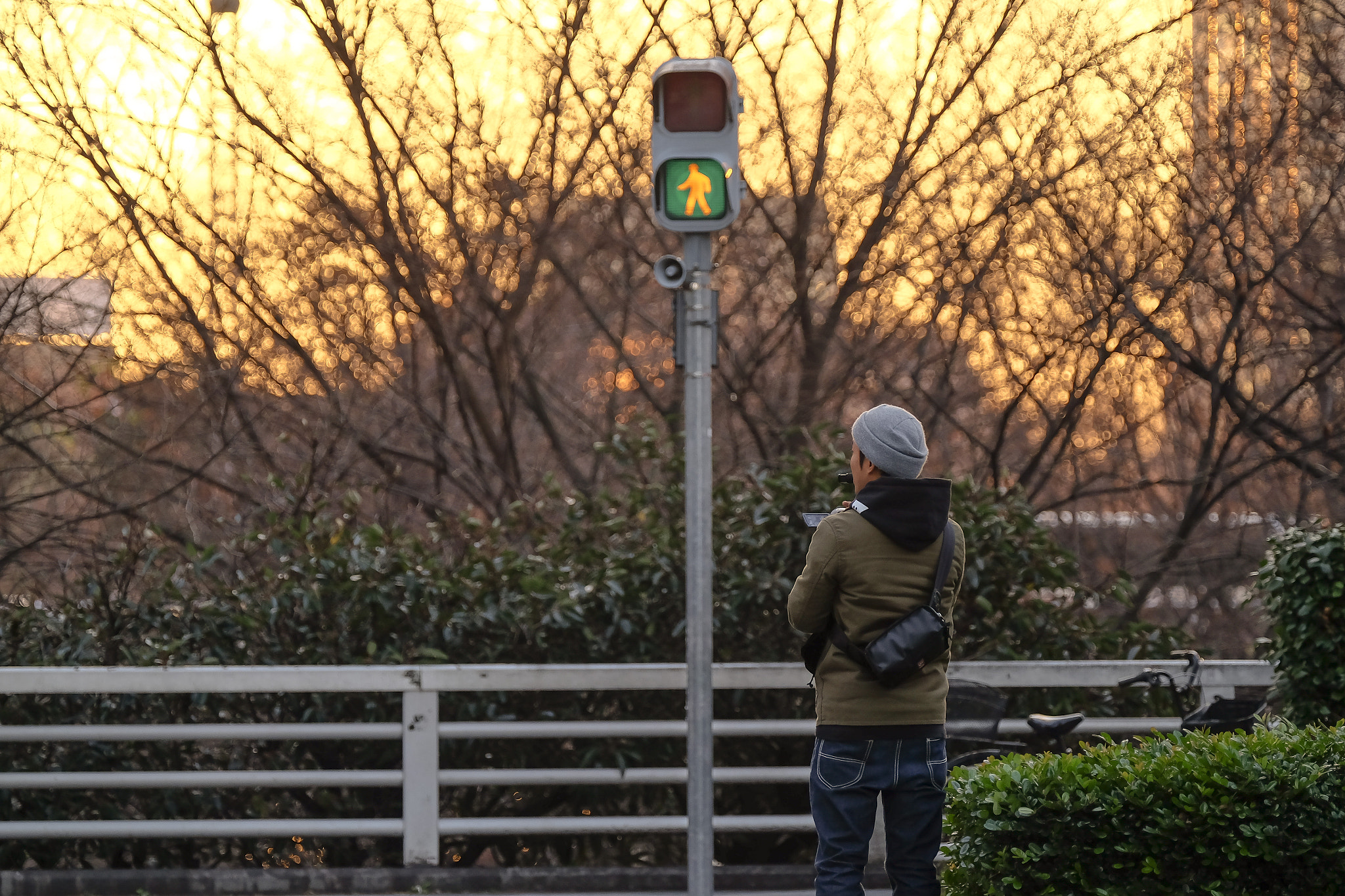 Fujifilm X-T1 + XF50-140mmF2.8 R LM OIS WR + 1.4x sample photo. Tokyo night photography