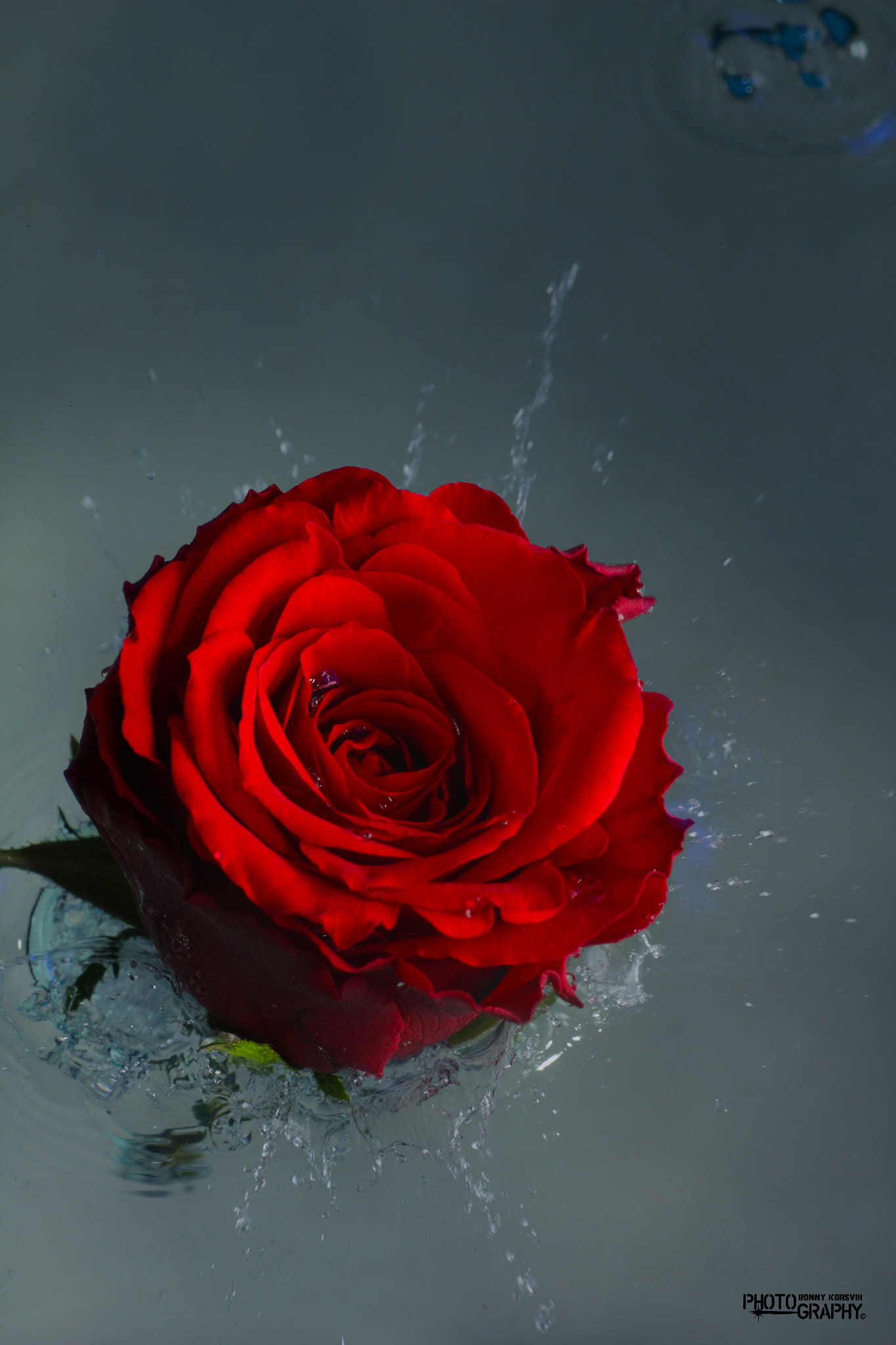 Sigma 70mm F2.8 EX DG Macro sample photo. Impact of love. photography
