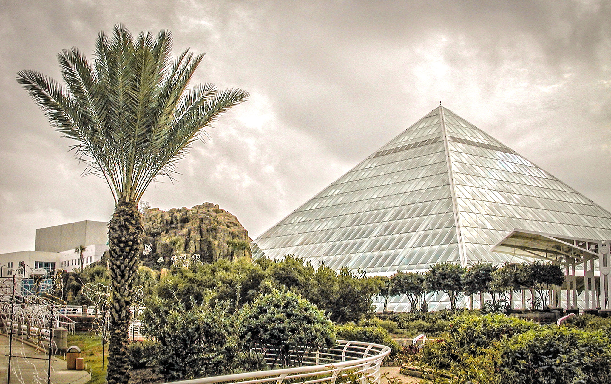 Nikon E990 sample photo. Tropical glass pyramid photography