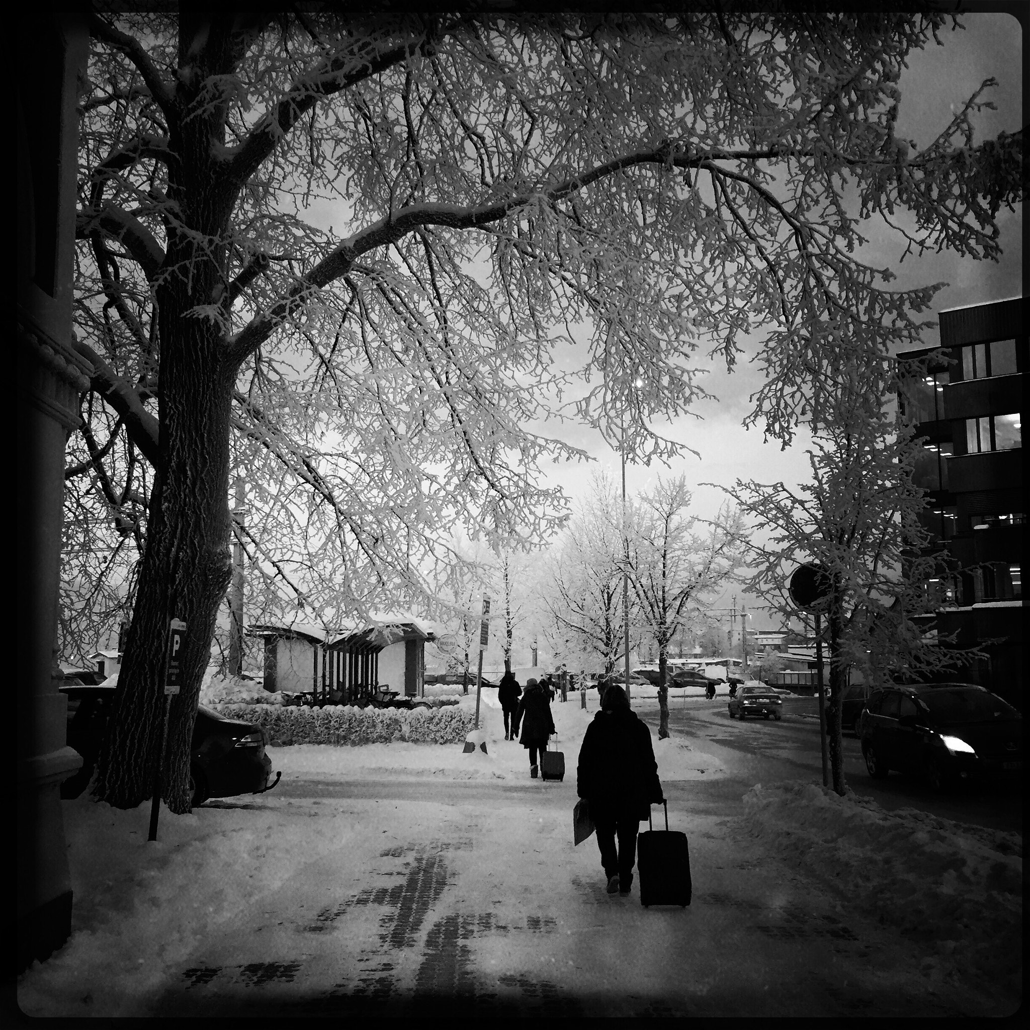 Hipstamatic 305 sample photo. Cold photography