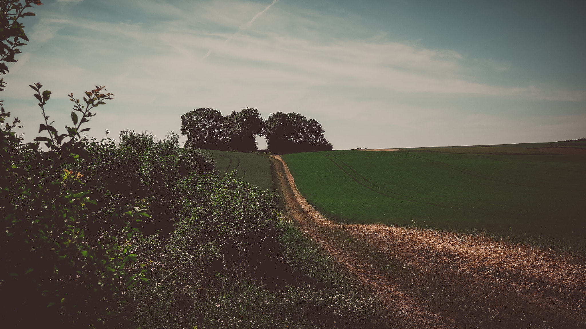 Olympus OM-D E-M1 + LUMIX G 20/F1.7 II sample photo. In to the... photography