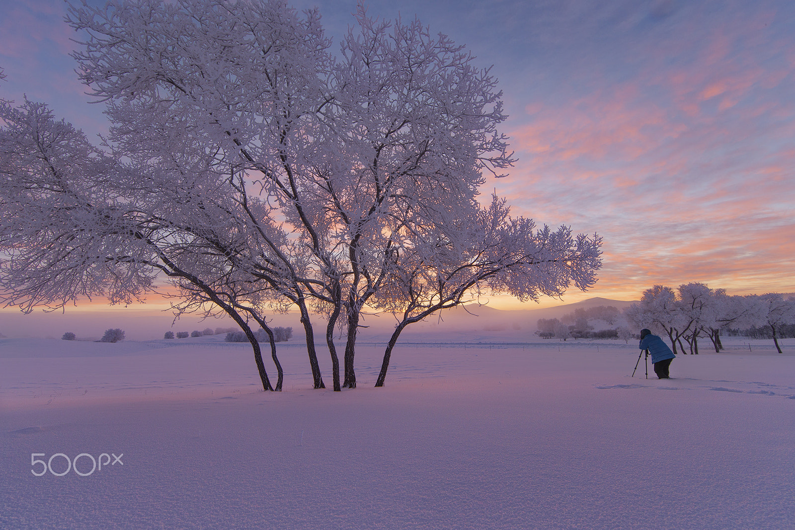 Canon EF 14mm F2.8L II USM sample photo. Freeze-frame photography