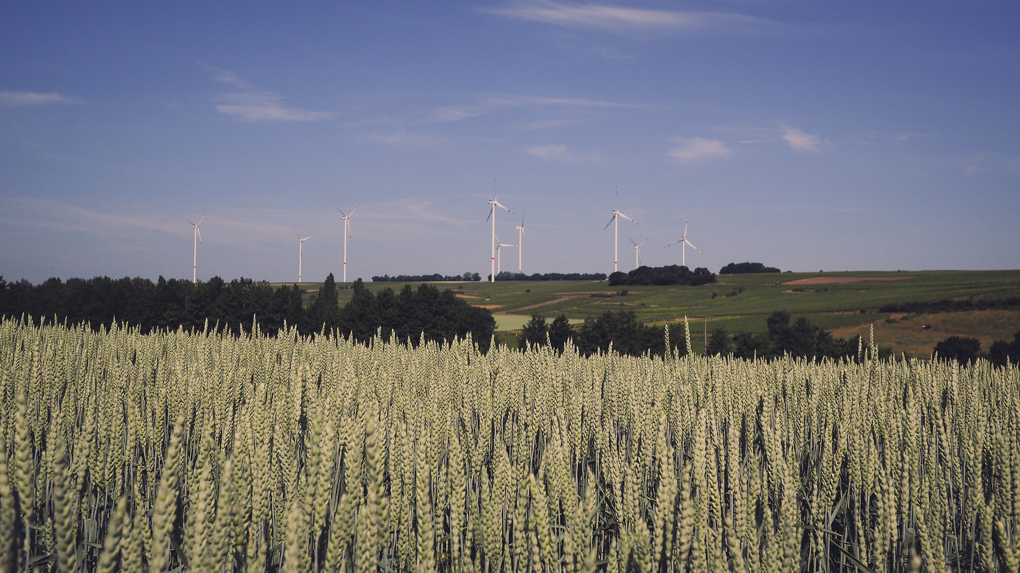 Olympus OM-D E-M1 + LUMIX G 20/F1.7 II sample photo. Wind towers on the field photography