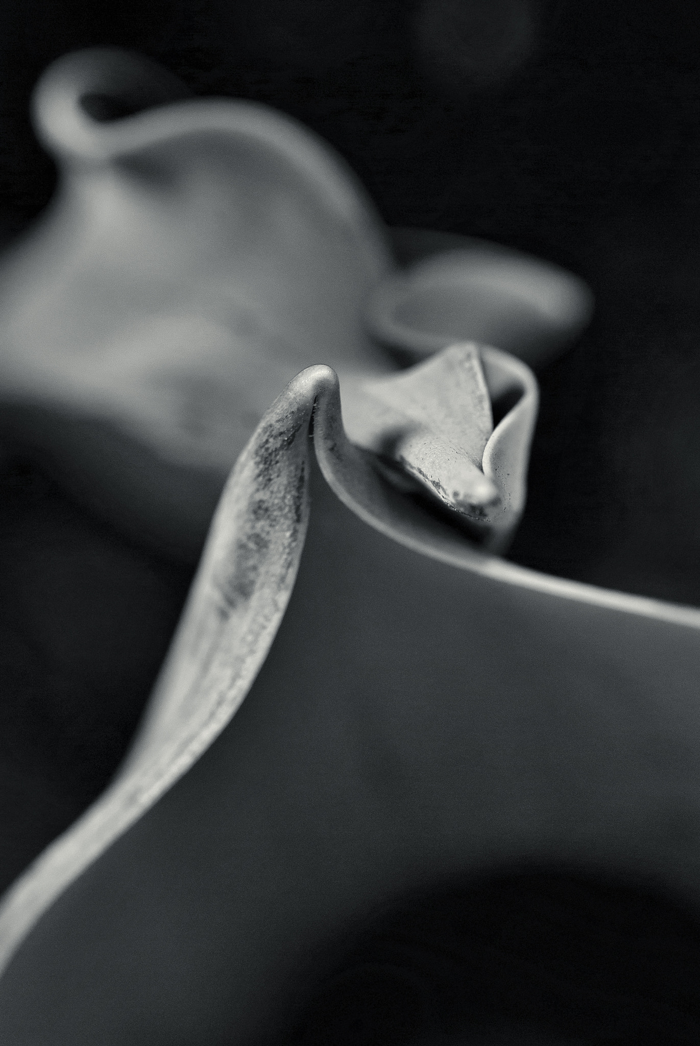 Nikon D200 + PC Micro-Nikkor 85mm f/2.8D sample photo. L'arte della seduzione photography