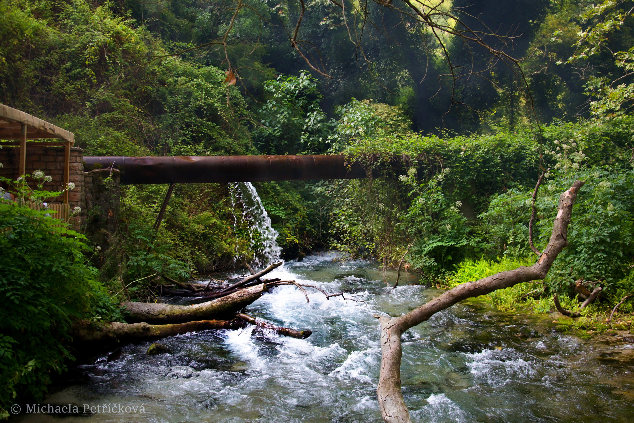 18.00 - 105.00 mm f/3.5 - 5.6 sample photo. Natural industrialism photography