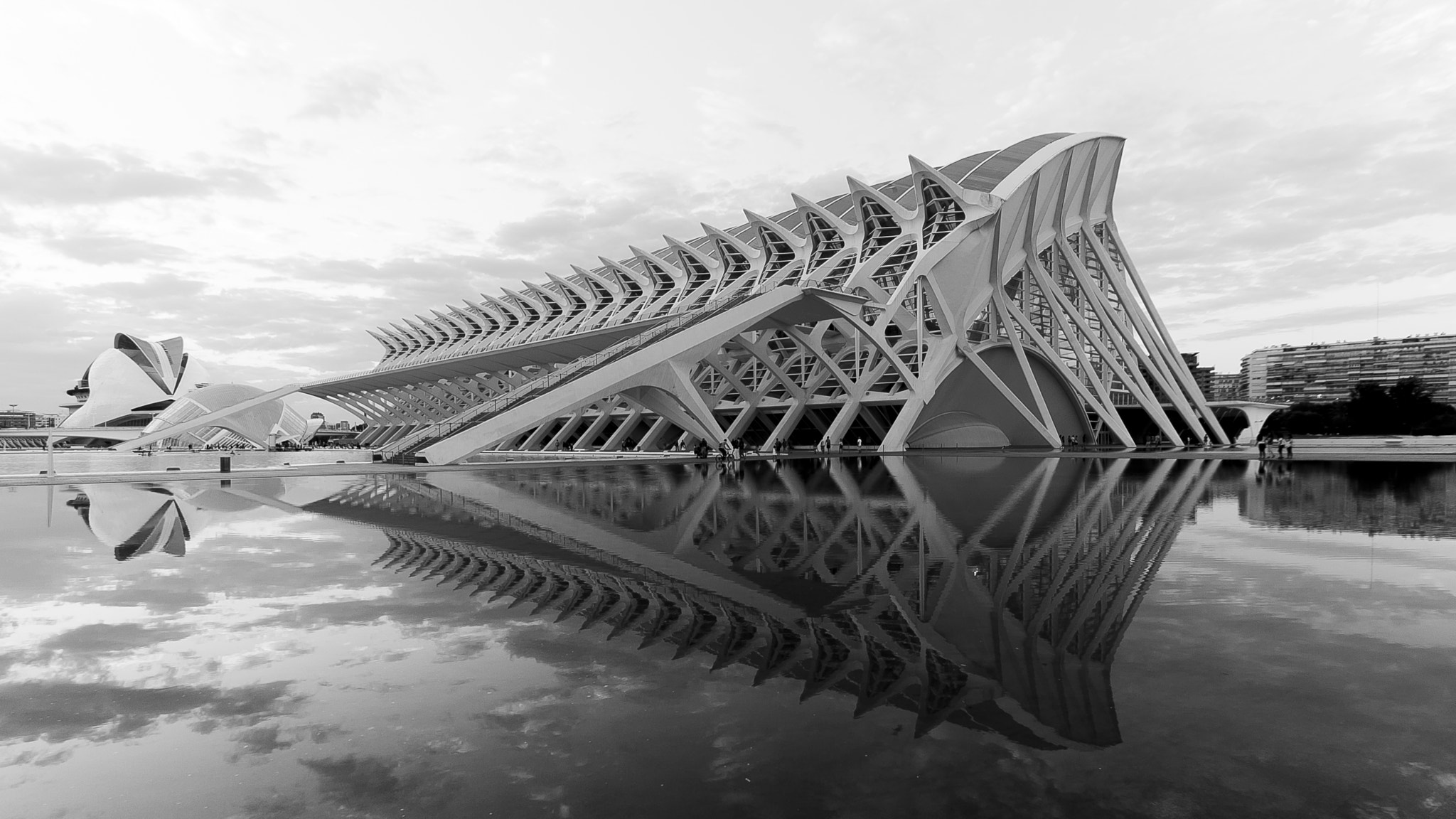 Sigma 10-20mm F3.5 EX DC HSM sample photo. Skeleton photography