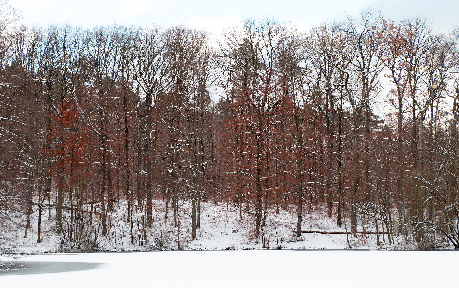 Fujifilm XC 16-50mm F3.5-5.6 OIS sample photo. Winter landscape photography