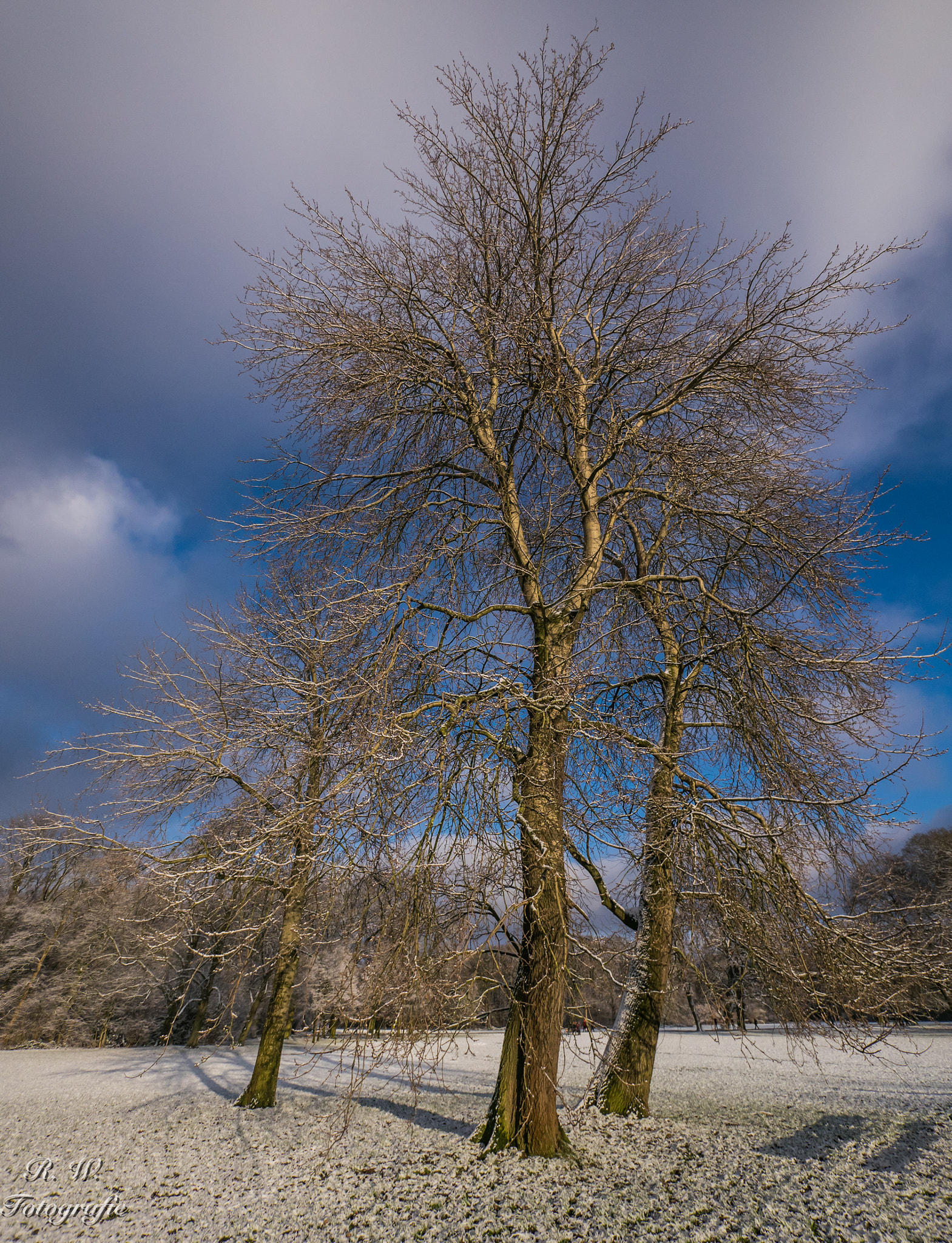 Panasonic Lumix DMC-GM1 + Panasonic Lumix G Vario 7-14mm F4 ASPH sample photo. Winterstimmung photography