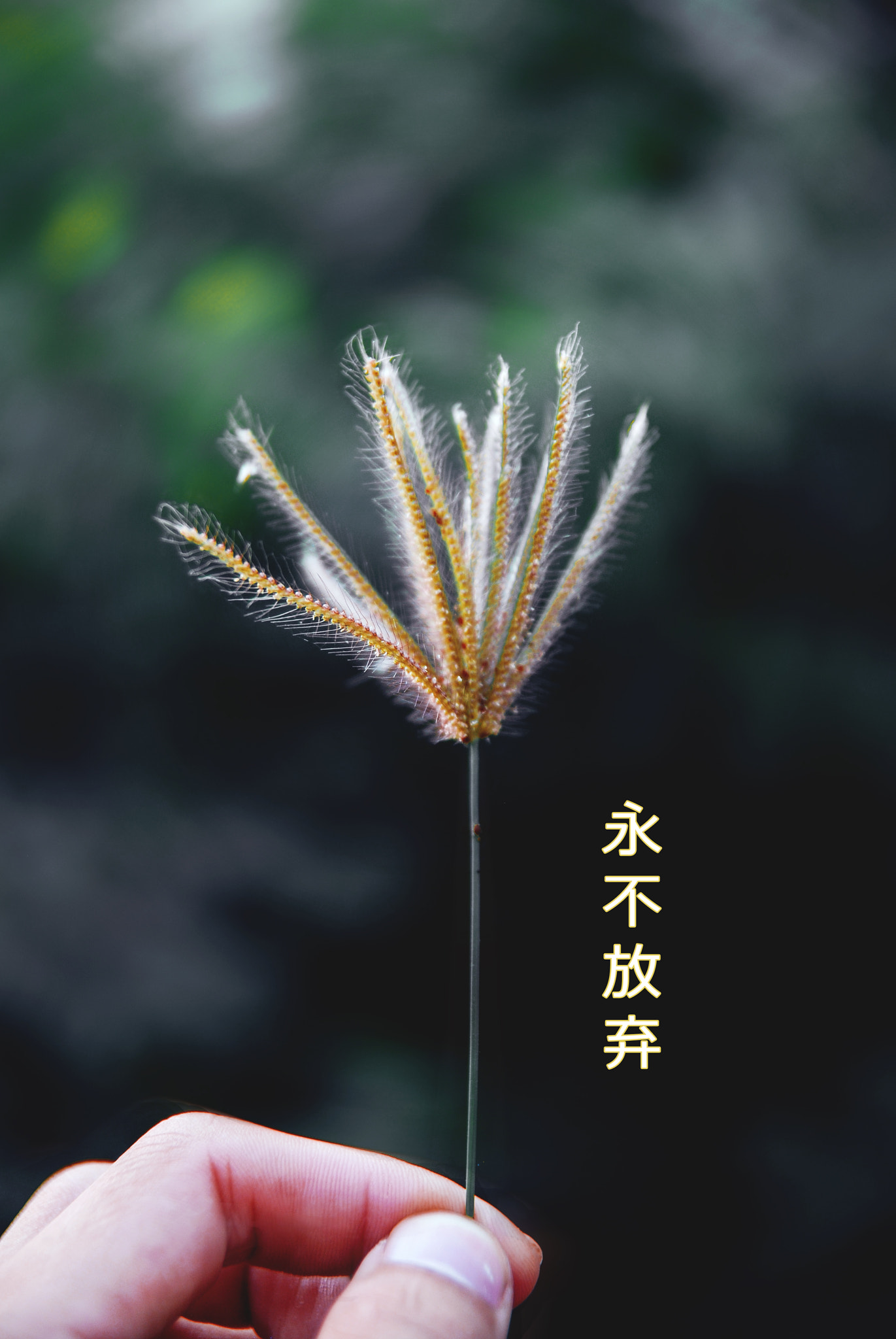 Nikon D60 sample photo. Remember time photography