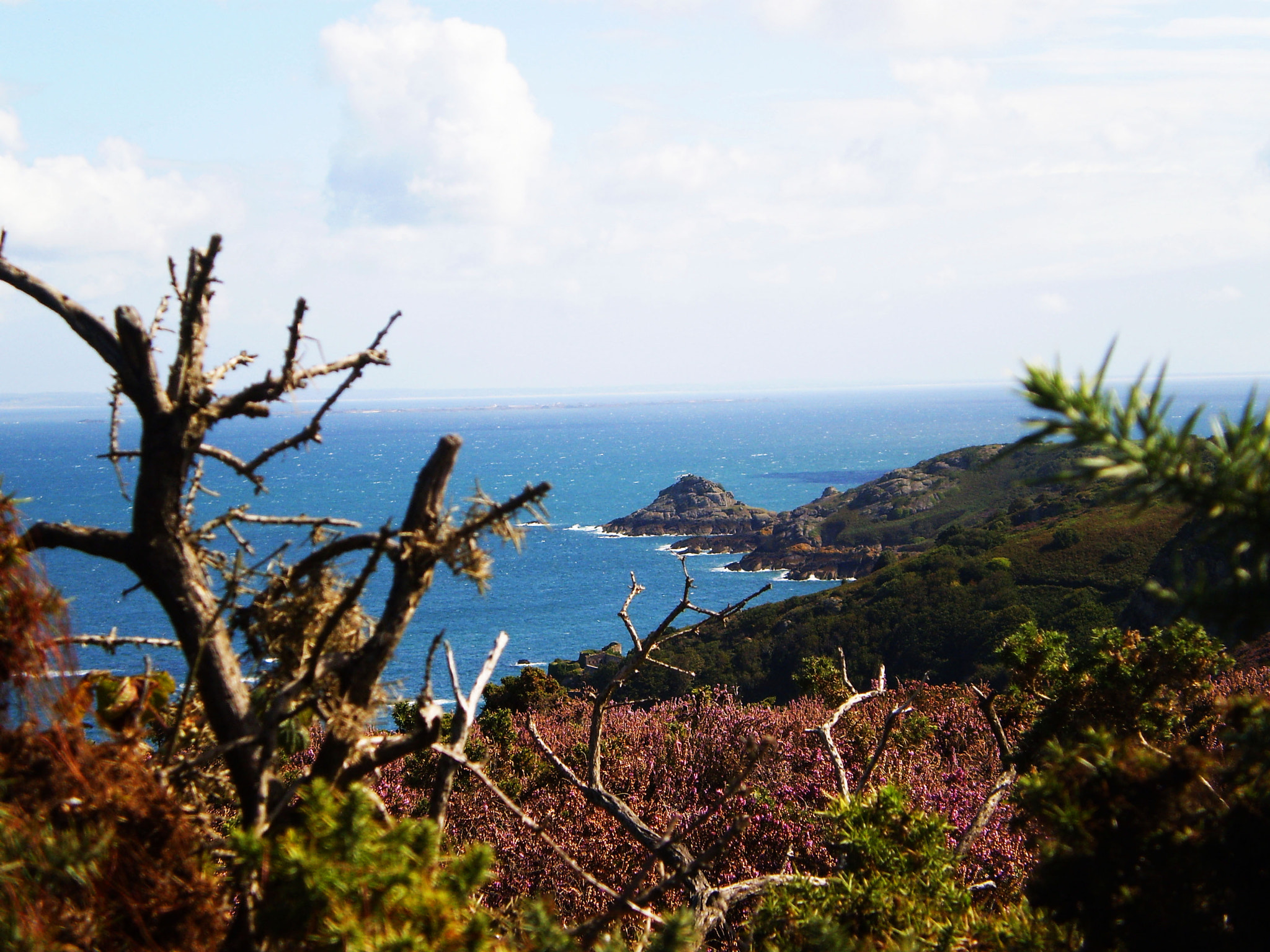 Olympus FE20,X15,C25 sample photo. Jersey coastline photography