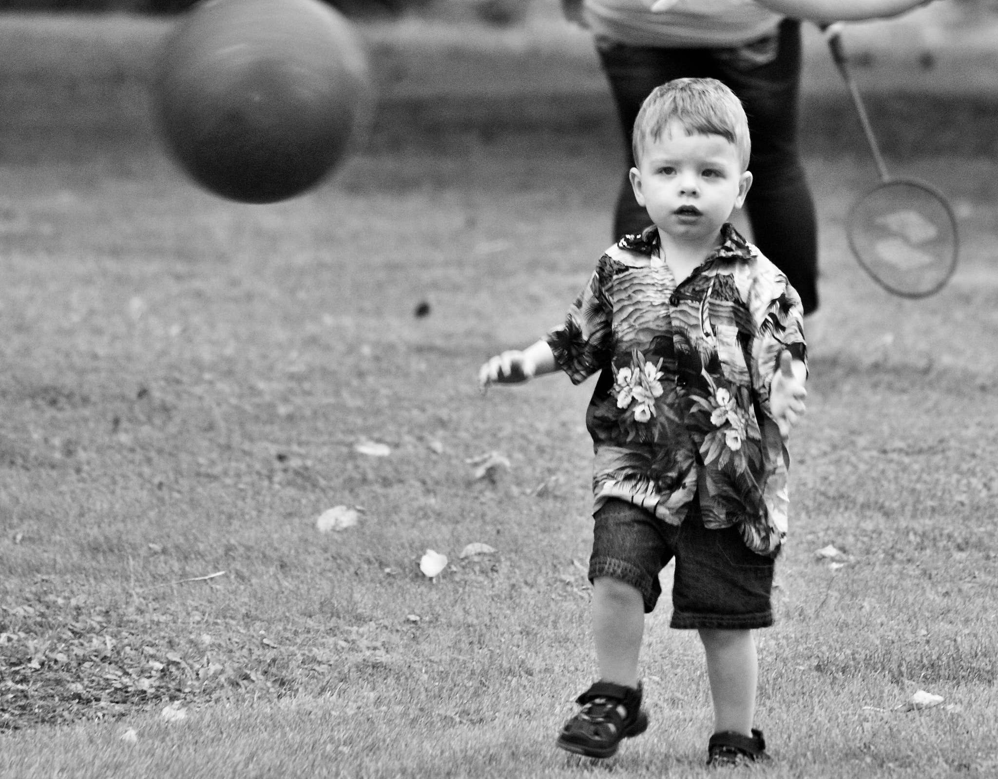 Sony 75-300mm F4.5-5.6 sample photo. Innocence captured photography