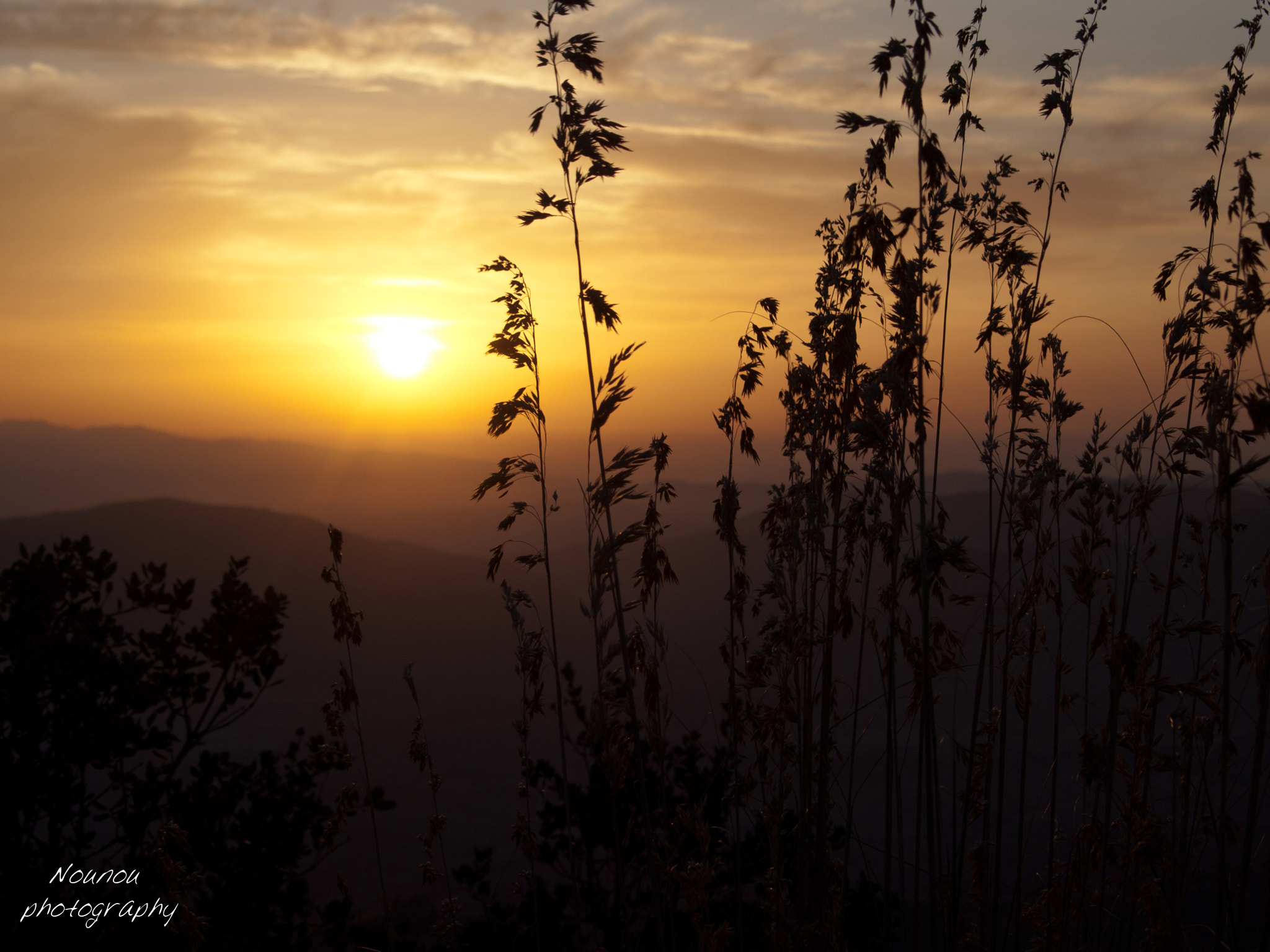 Olympus Zuiko Digital 17.5-45mm F3.5-5.6 sample photo. Just a sunset photography