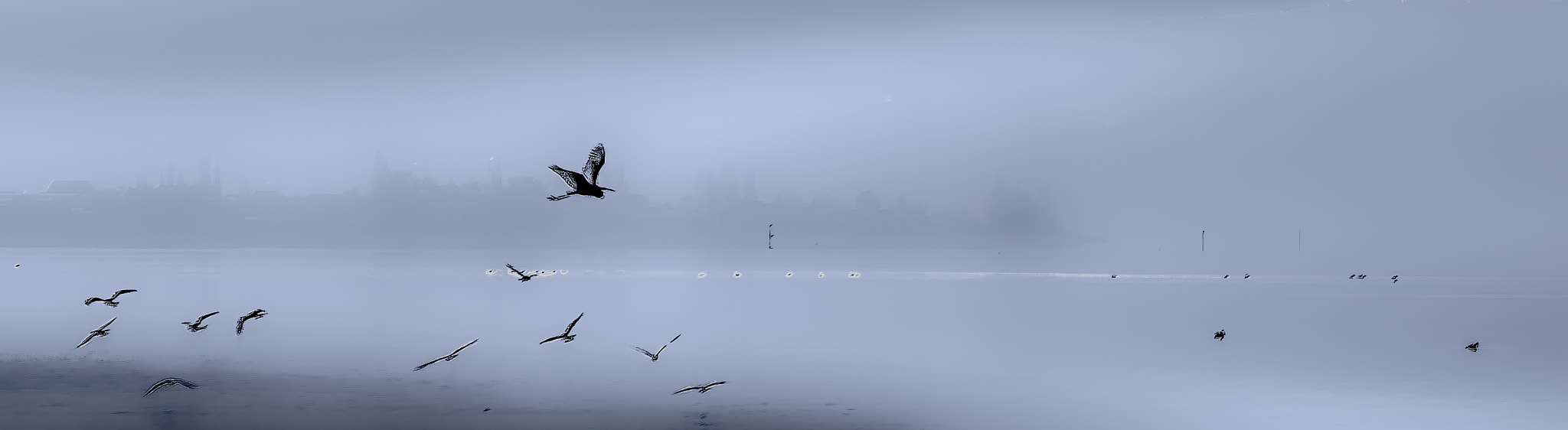 Pentax smc DA 55-300mm F4.0-5.8 ED sample photo. Heron scape photography