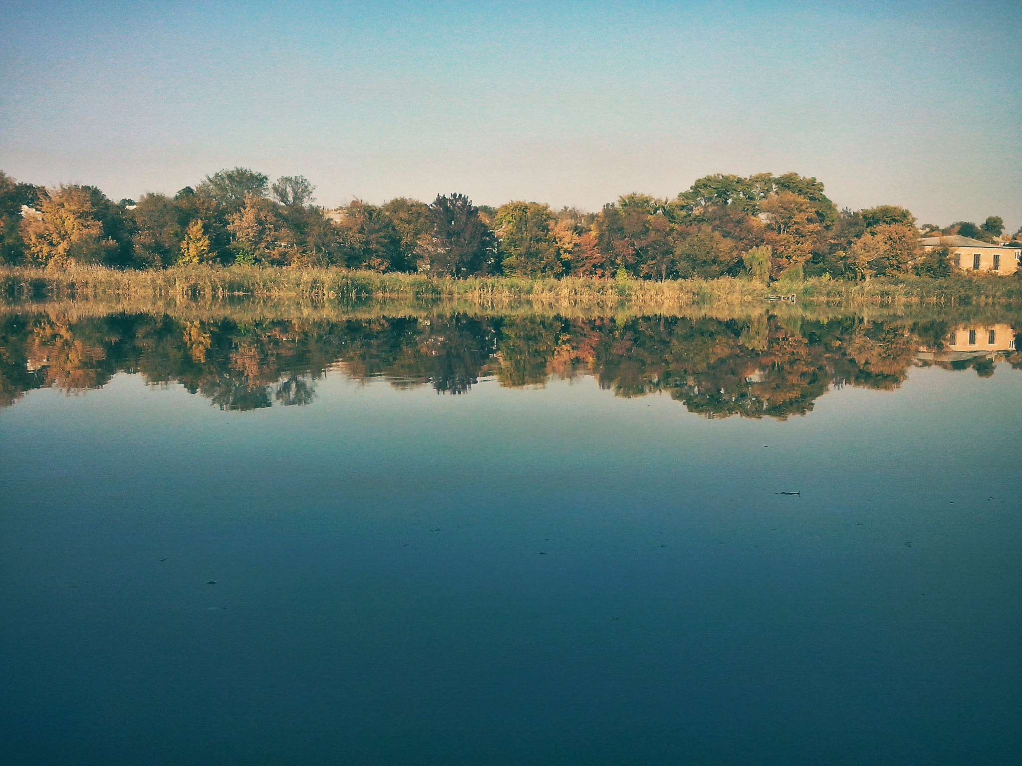 LG OPTIMUS L5 II sample photo. ~ photography