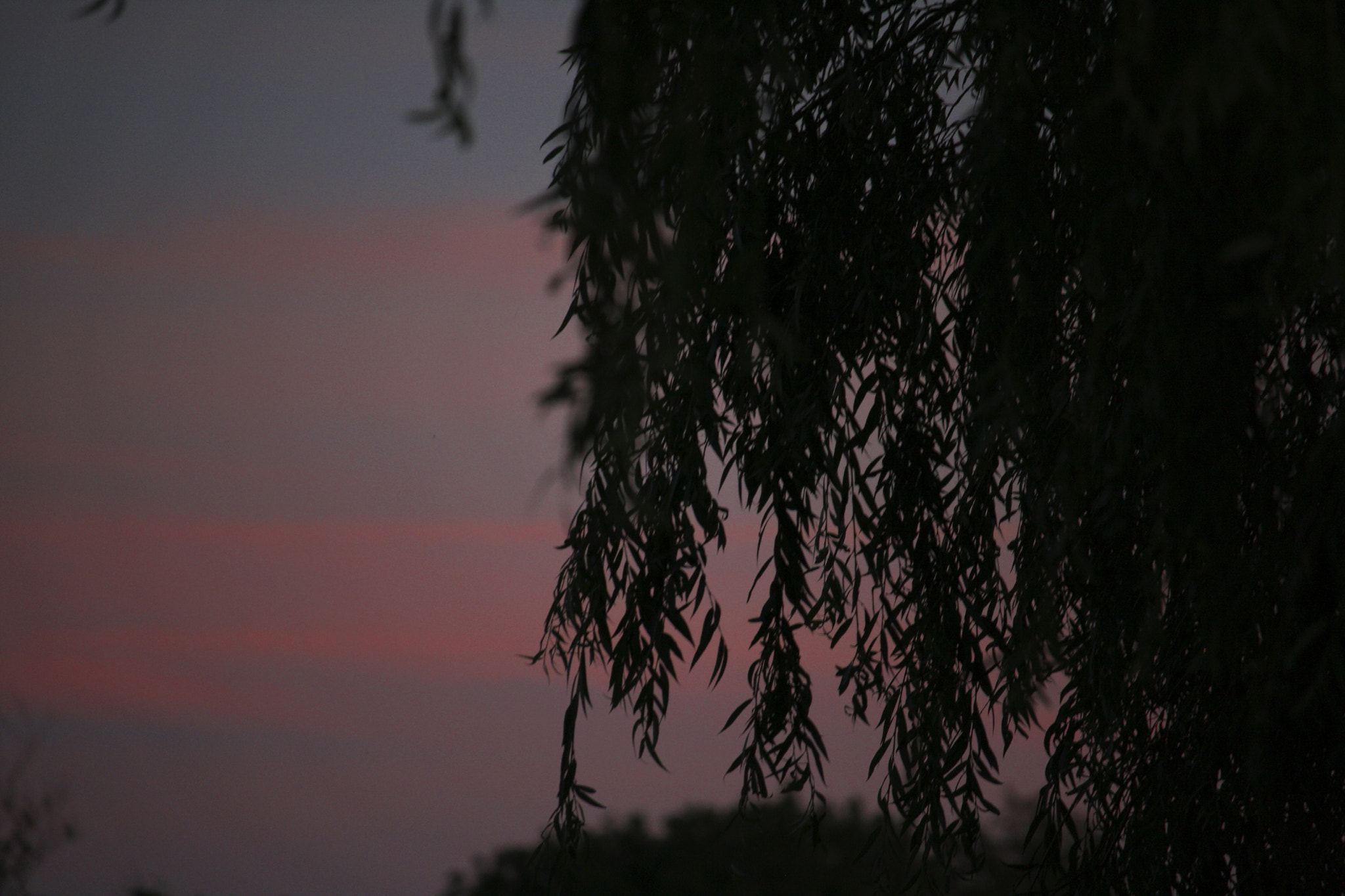 Canon EOS 1000D (EOS Digital Rebel XS / EOS Kiss F) + Canon EF-S 55-250mm F4-5.6 IS STM sample photo. Sunset photography