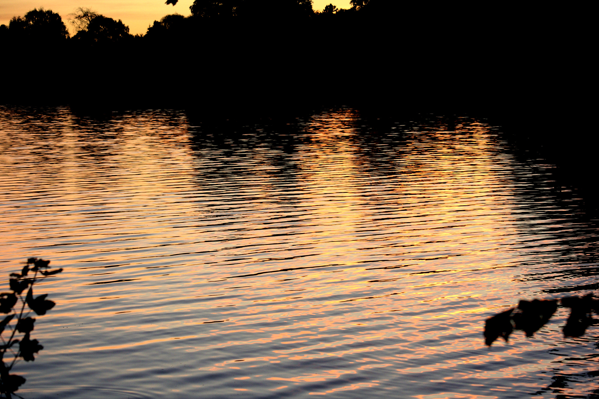 Canon EF-S 55-250mm F4-5.6 IS STM sample photo. Sunset light in water photography
