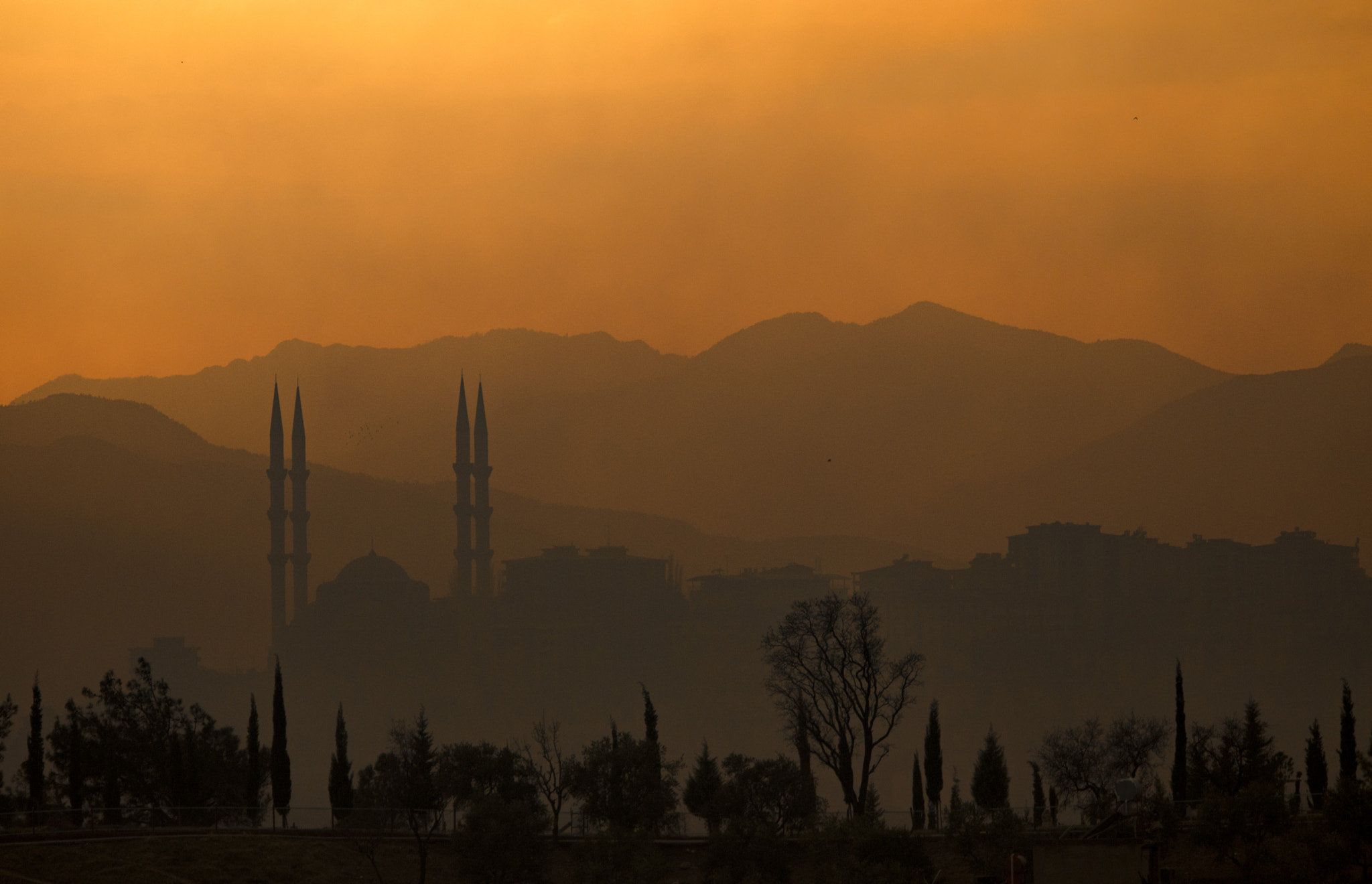 Sigma 120-400mm F4.5-5.6 DG OS HSM sample photo. ... photography