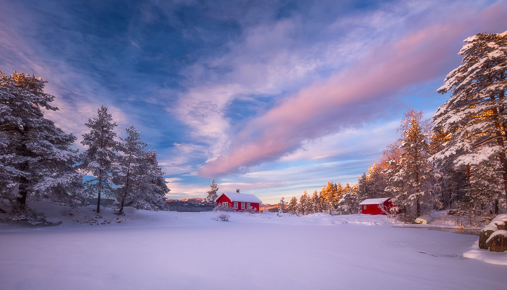 Sony a7R + Canon EF 16-35mm F4L IS USM sample photo. The cloud photography