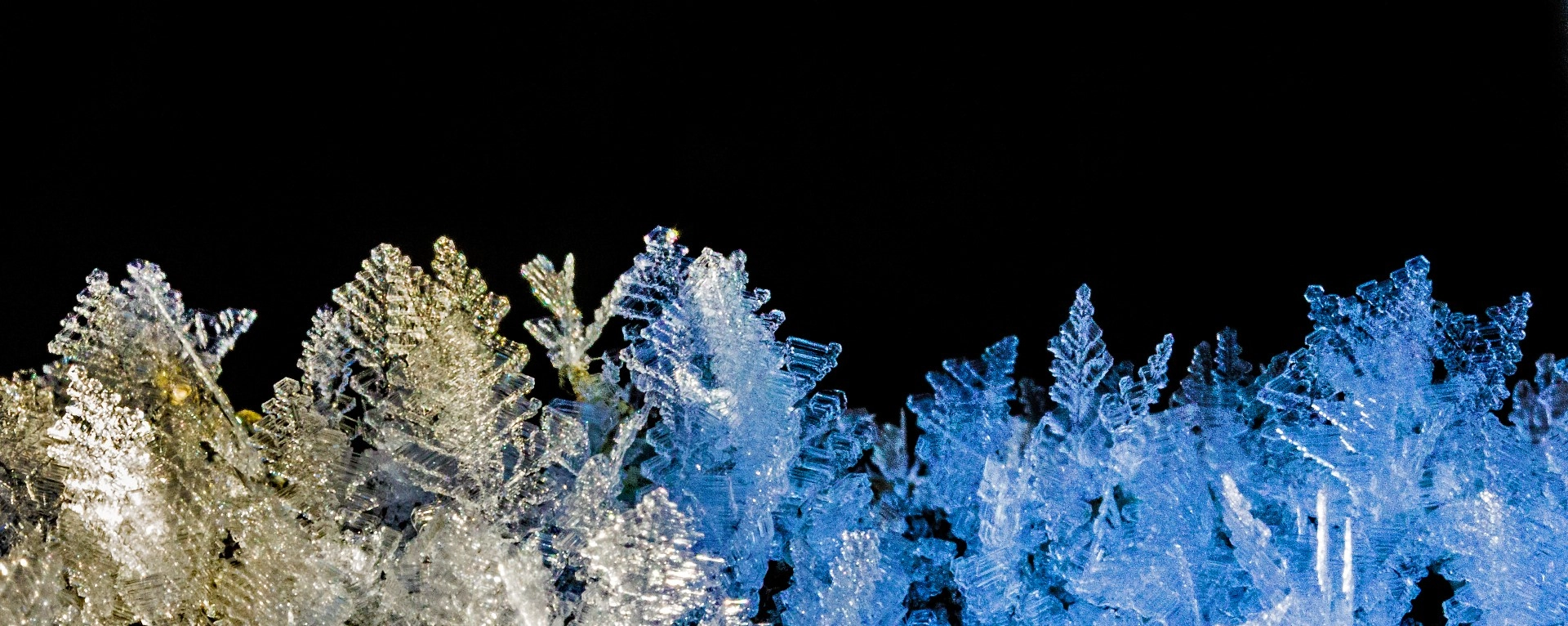 Canon EOS 1200D (EOS Rebel T5 / EOS Kiss X70 / EOS Hi) + Canon EF 100mm F2.8L Macro IS USM sample photo. Frost, ice crystals photography