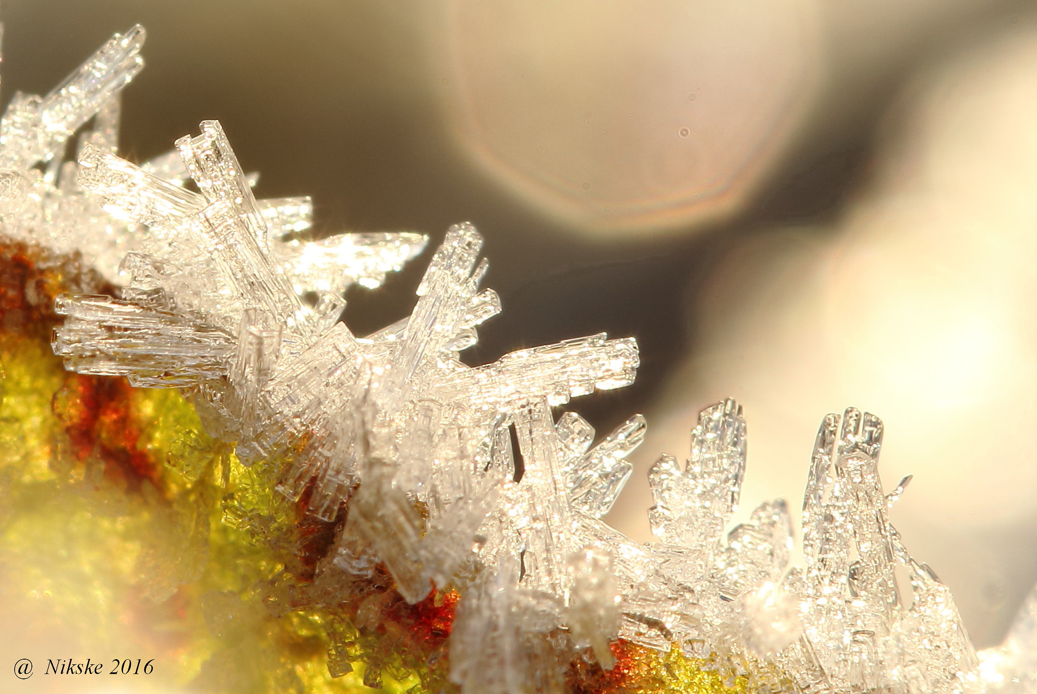 Canon EOS 700D (EOS Rebel T5i / EOS Kiss X7i) + Canon EF 100mm F2.8 Macro USM sample photo. Ice crystals photography