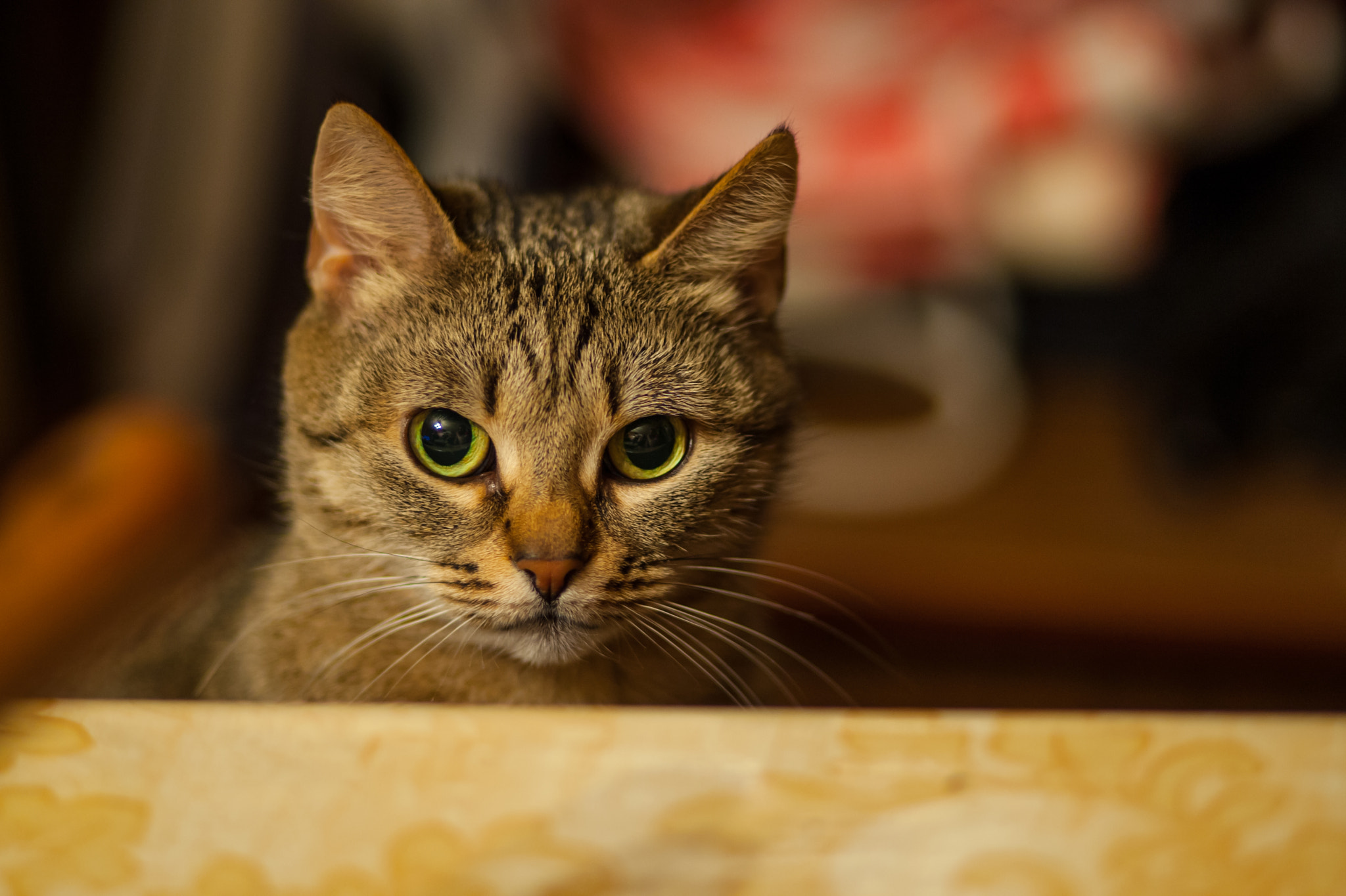 Canon EOS-1D Mark III sample photo. 957y1161.jpg photography