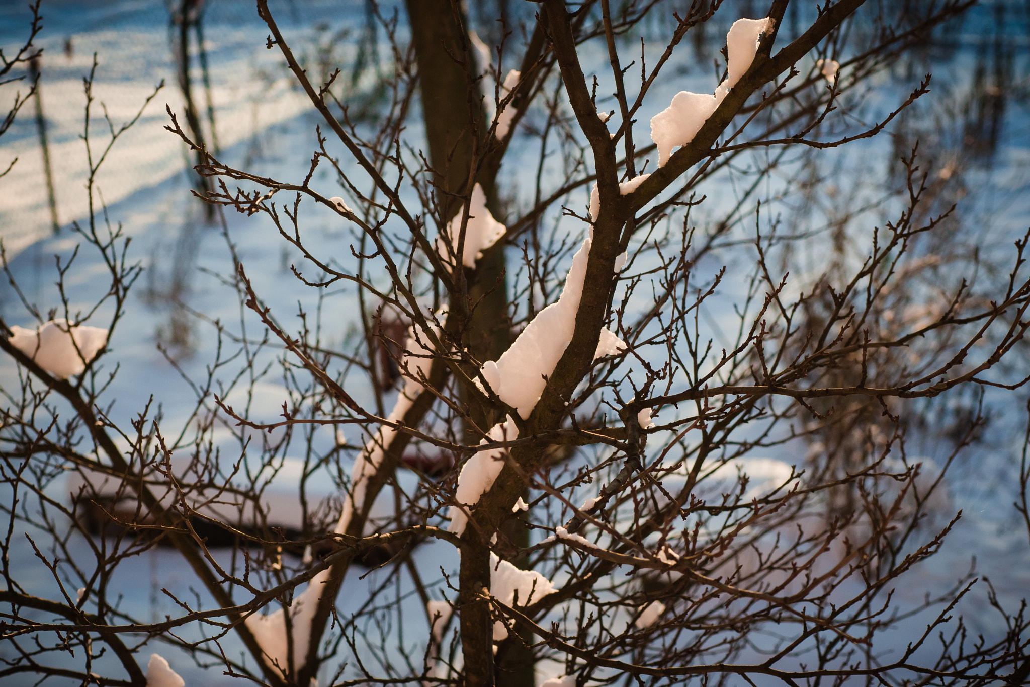 Canon EOS-1D Mark III sample photo. 957y1212.jpg photography