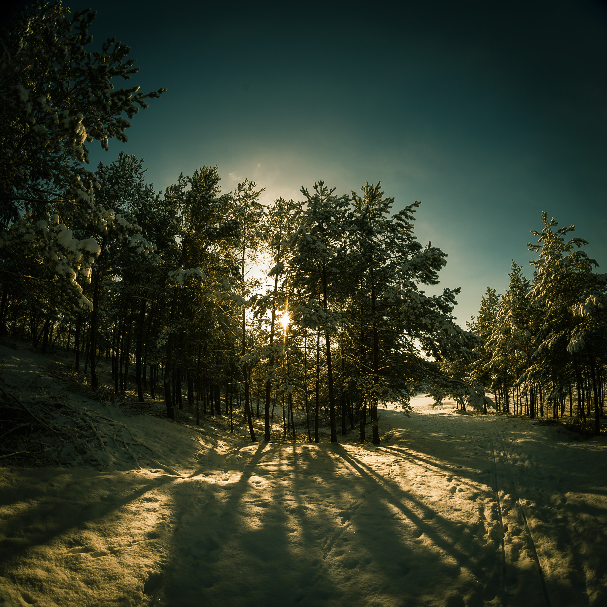 Nikon D4 + Samyang 8mm F3.5 Aspherical IF MC Fisheye sample photo. Winter wonderland photography