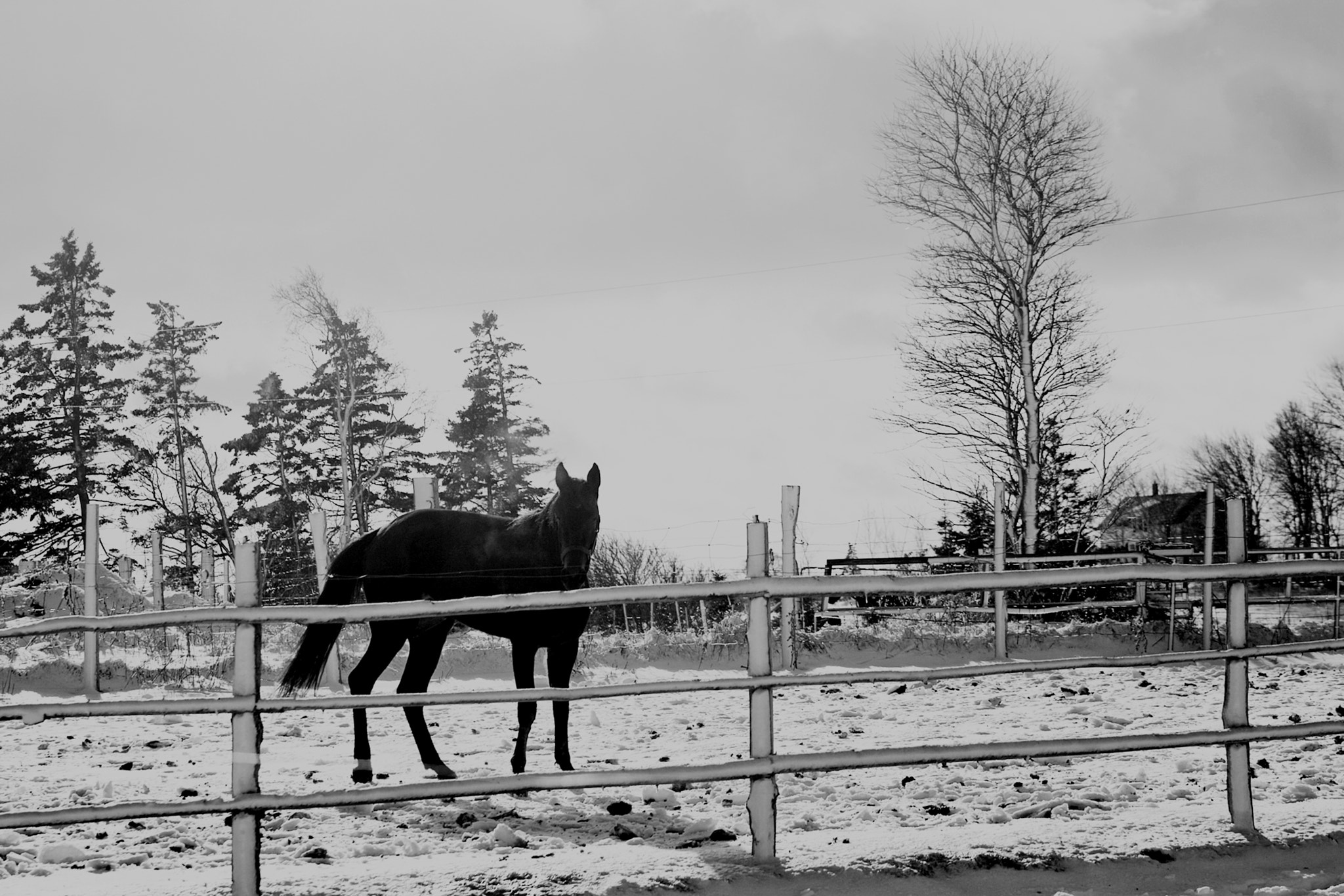Canon EF 75-300mm f/4-5.6 USM sample photo. Caught photography