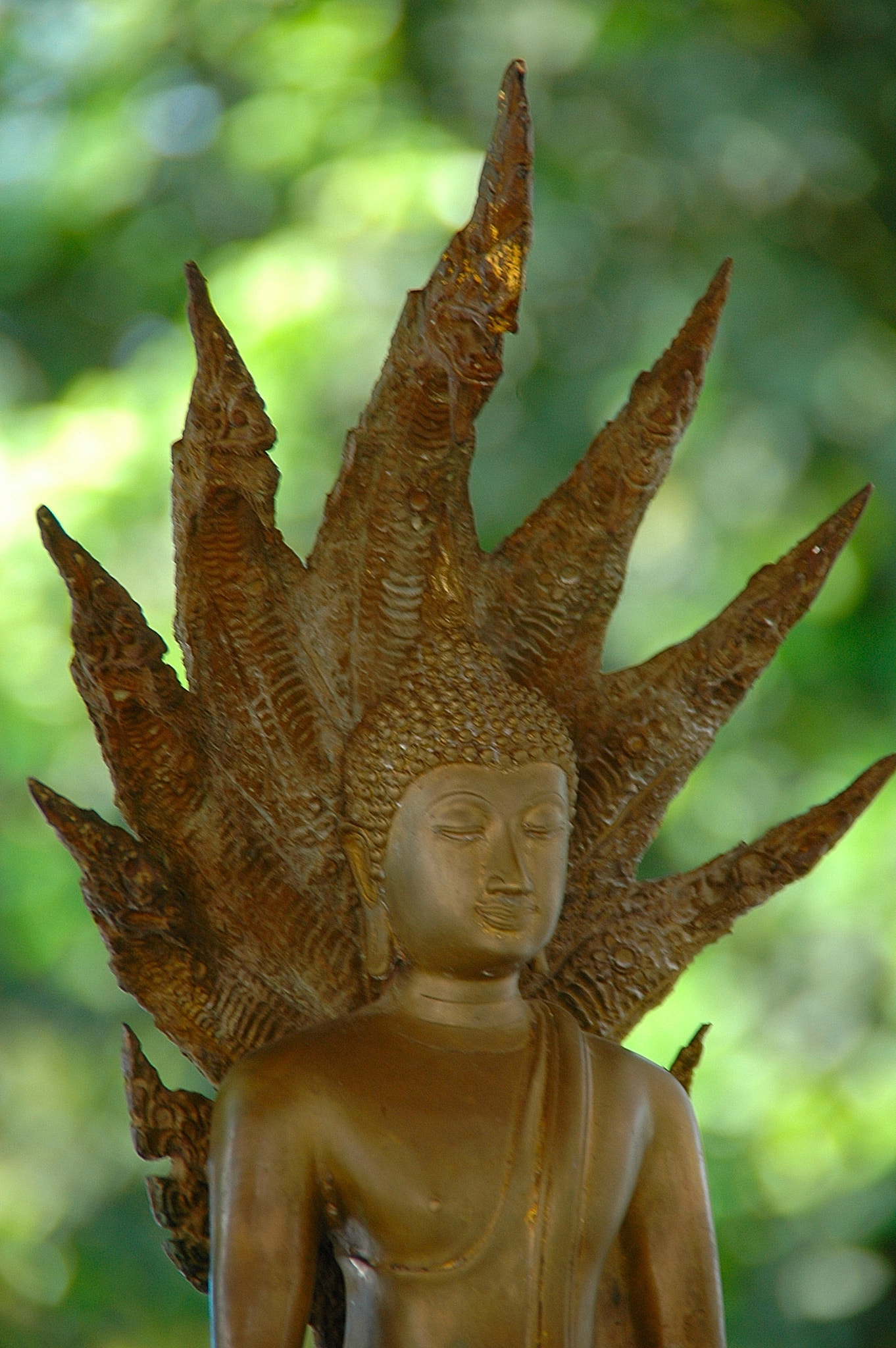 Nikon D70s sample photo. Bouddha en feu photography