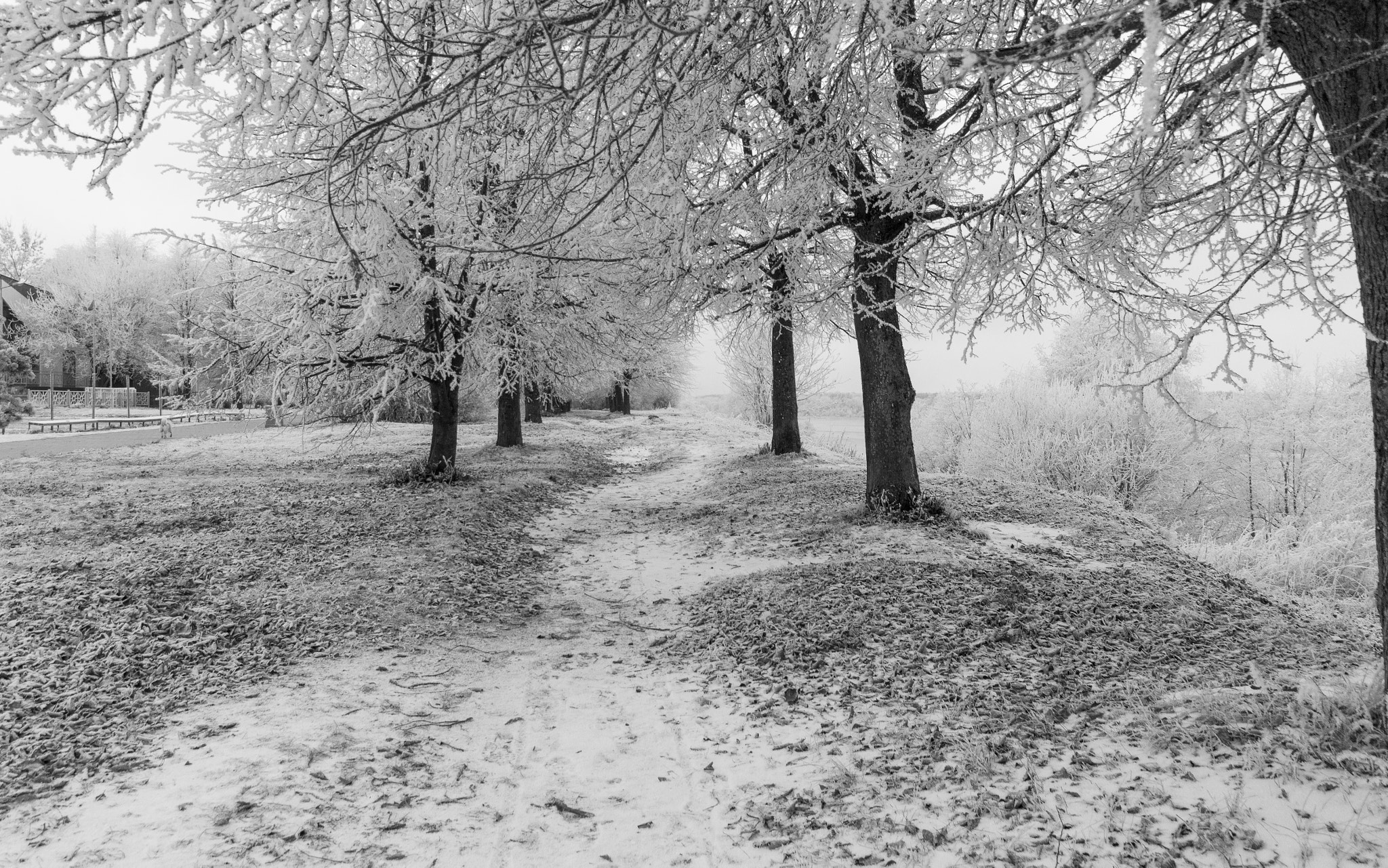 Sony Alpha NEX-5N + Sony E 10-18mm F4 OSS sample photo. Winter alley. photography