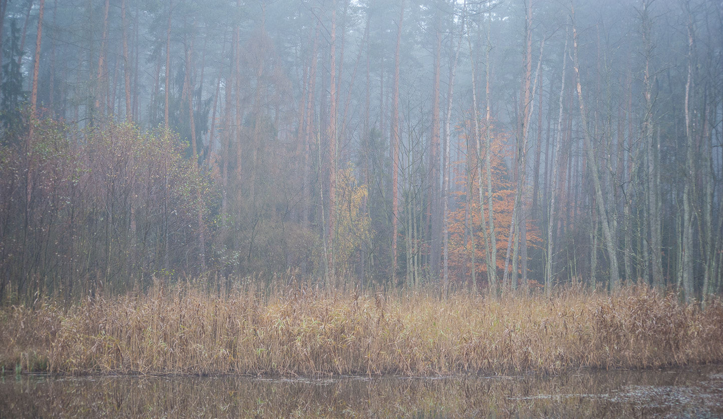 Nikon D700 + AF Nikkor 70-210mm f/4-5.6 sample photo. Fog photography