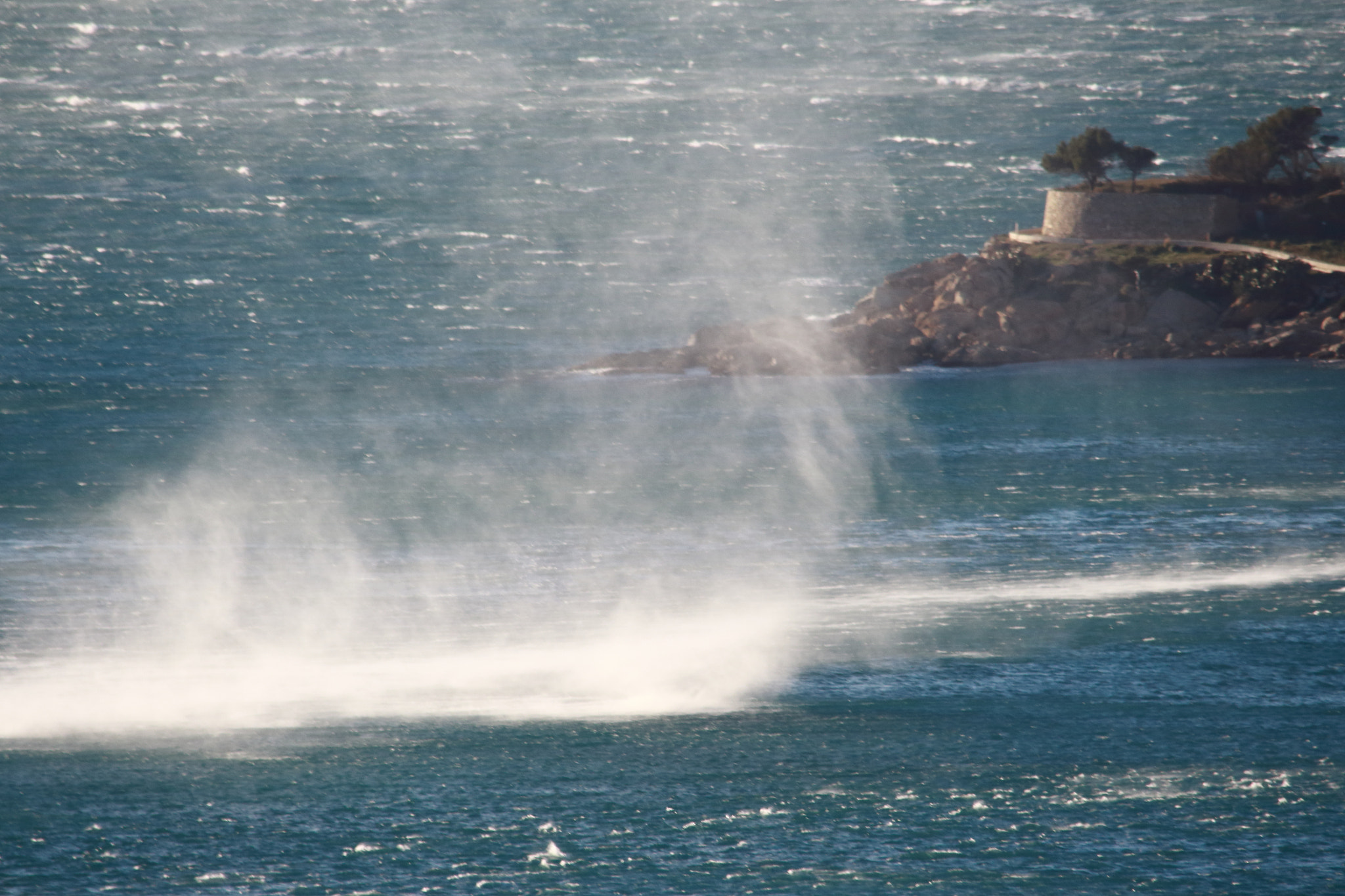 Sigma 150-500mm F5-6.3 DG OS HSM sample photo. Wind storm photography