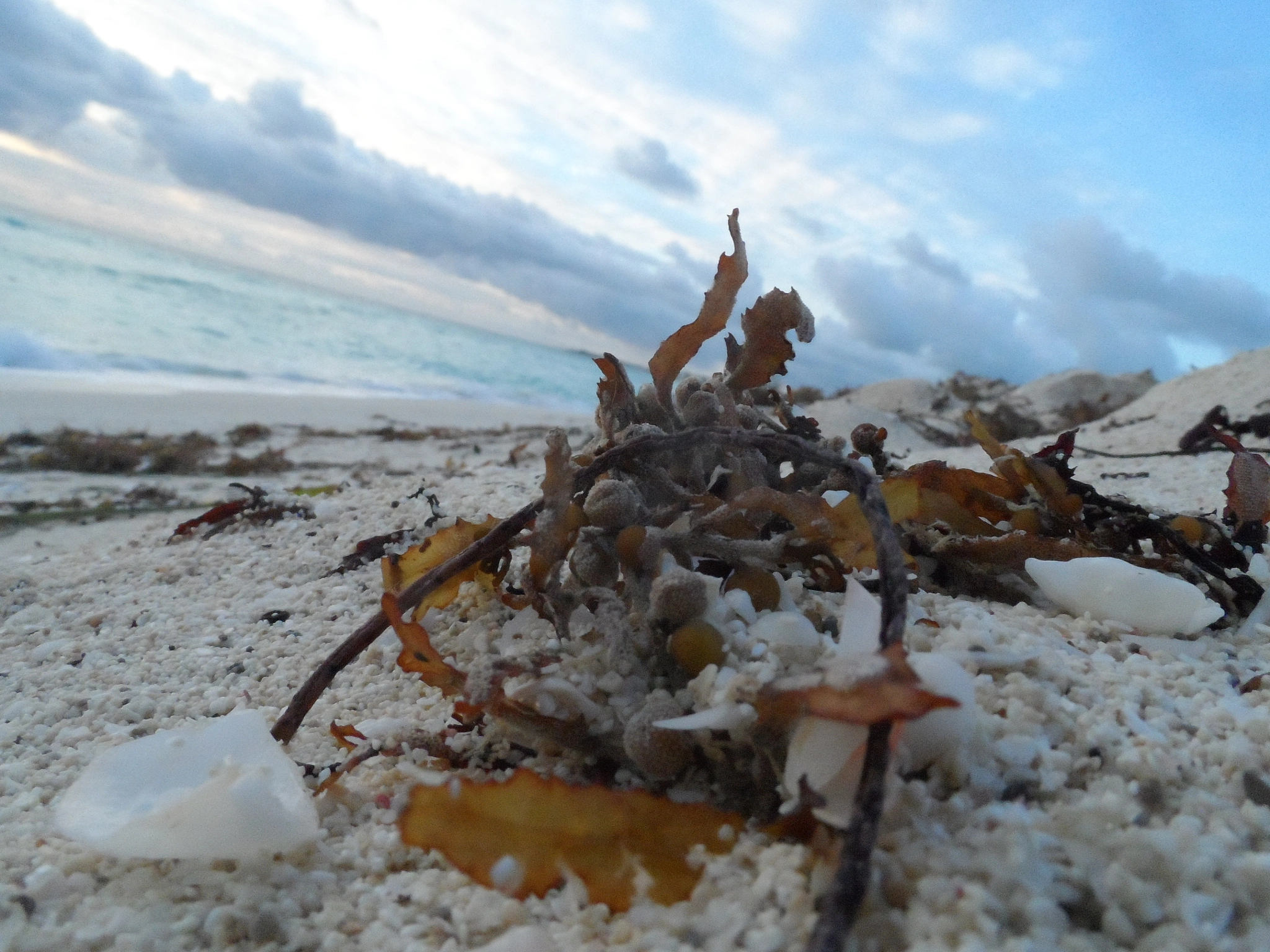 Samsung WB150 / WB150F / WB152 / WB152F / WB151 sample photo. Morning from the sand photography