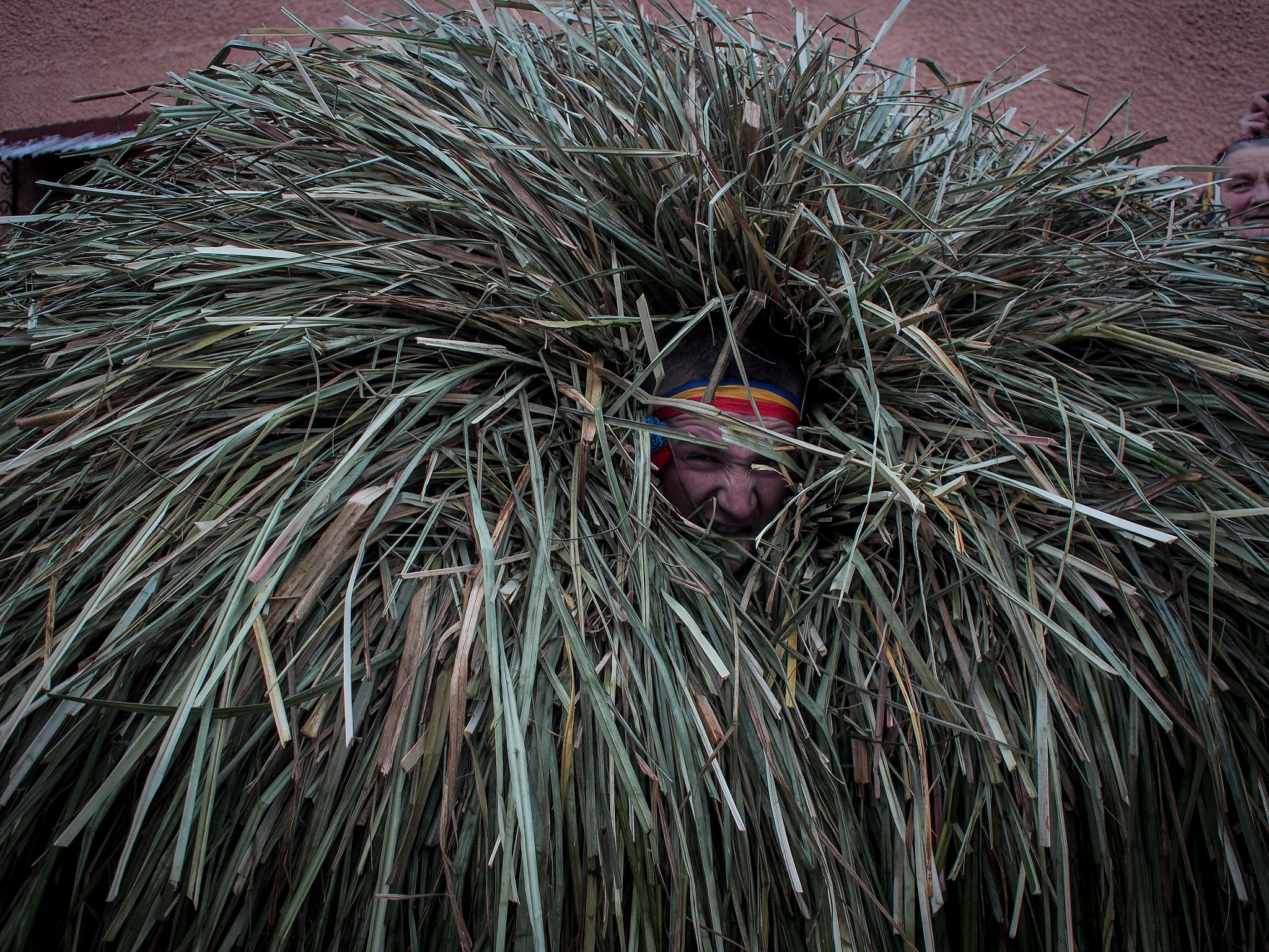 Olympus M.Zuiko Digital 17mm F2.8 Pancake sample photo. Young man dressed in the costume made of hay photography